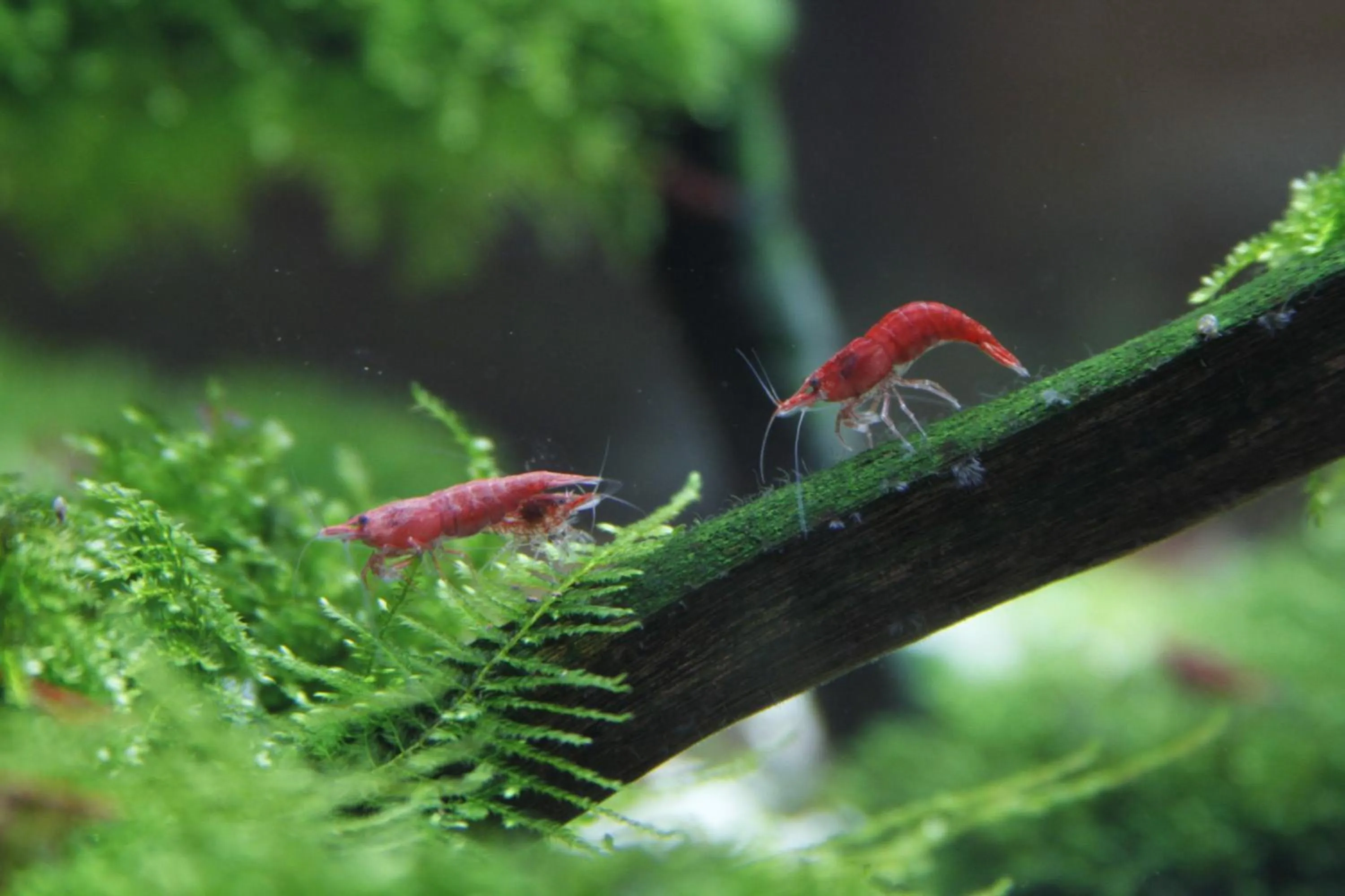 Property building in Ngoc Minh Hotel