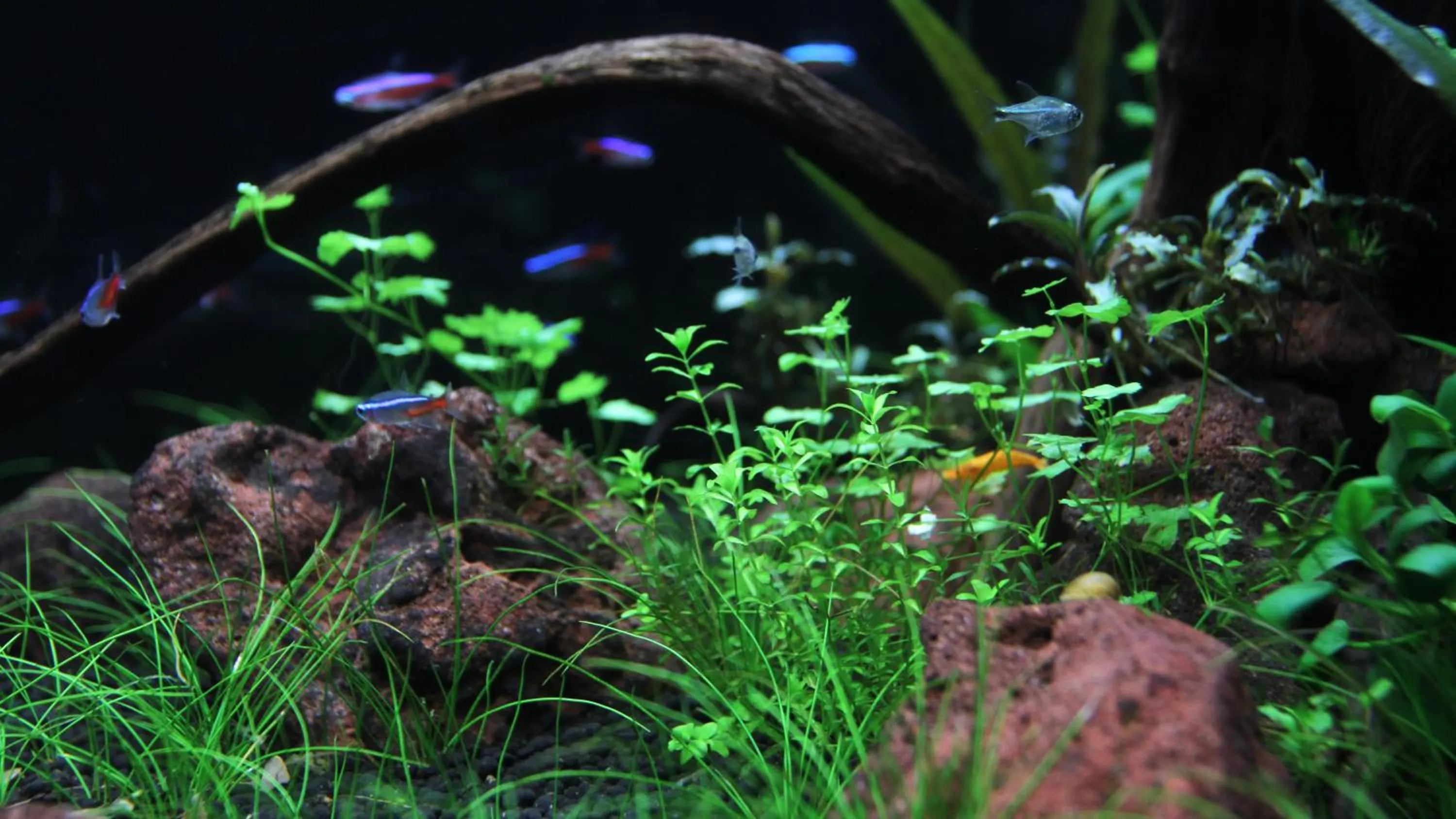 Property building in Ngoc Minh Hotel