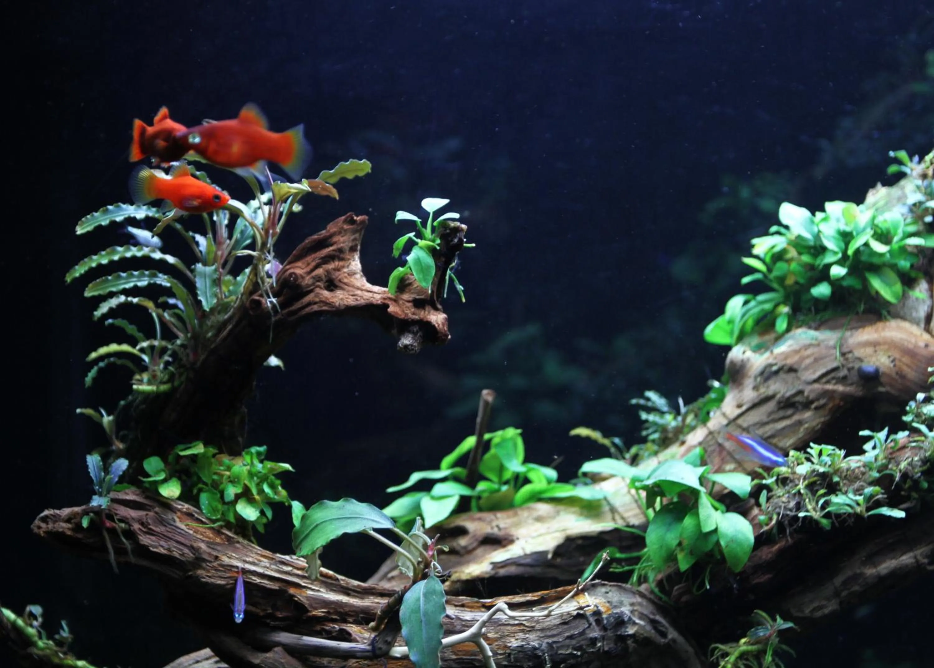 Property building in Ngoc Minh Hotel