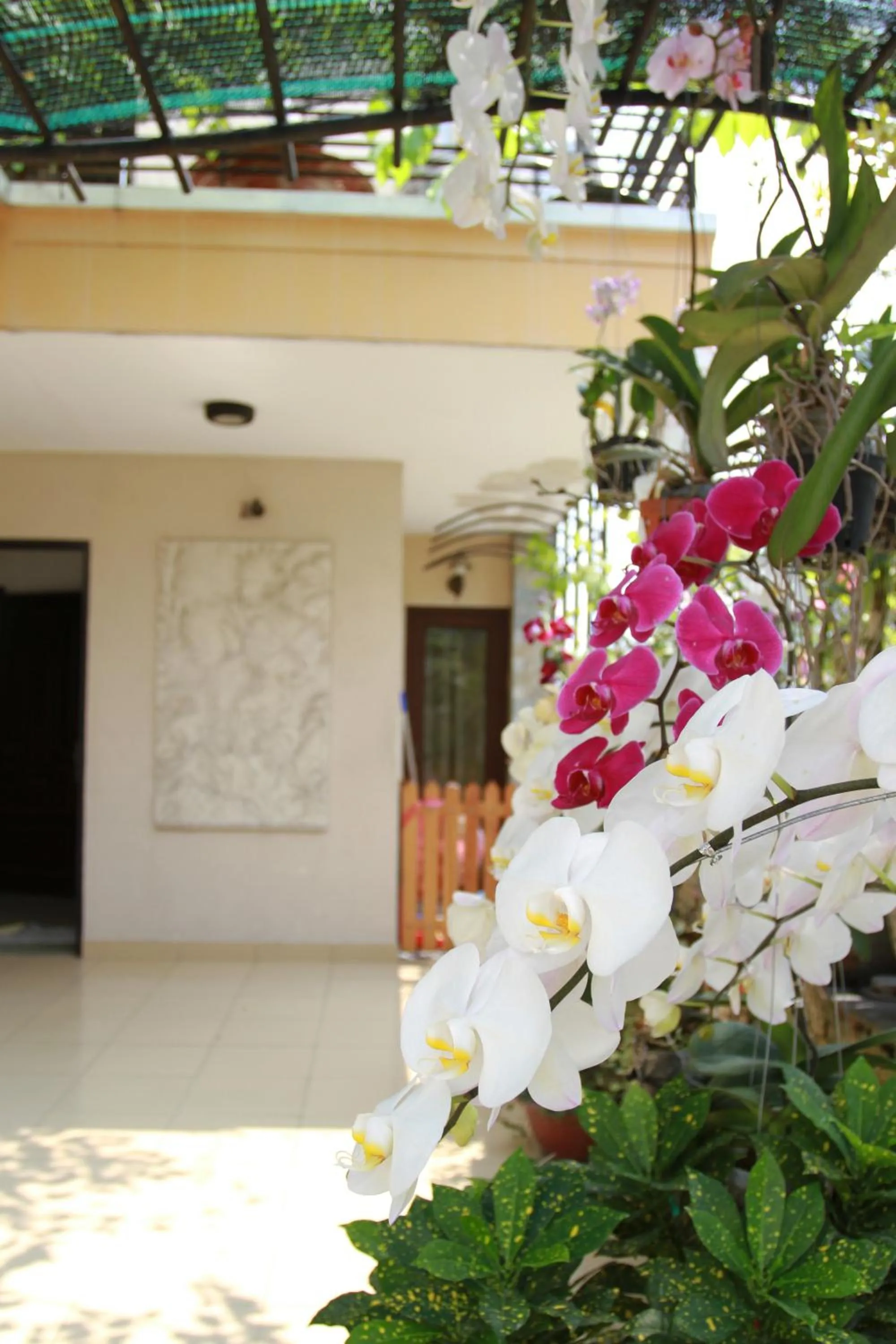 Property building in Ngoc Minh Hotel