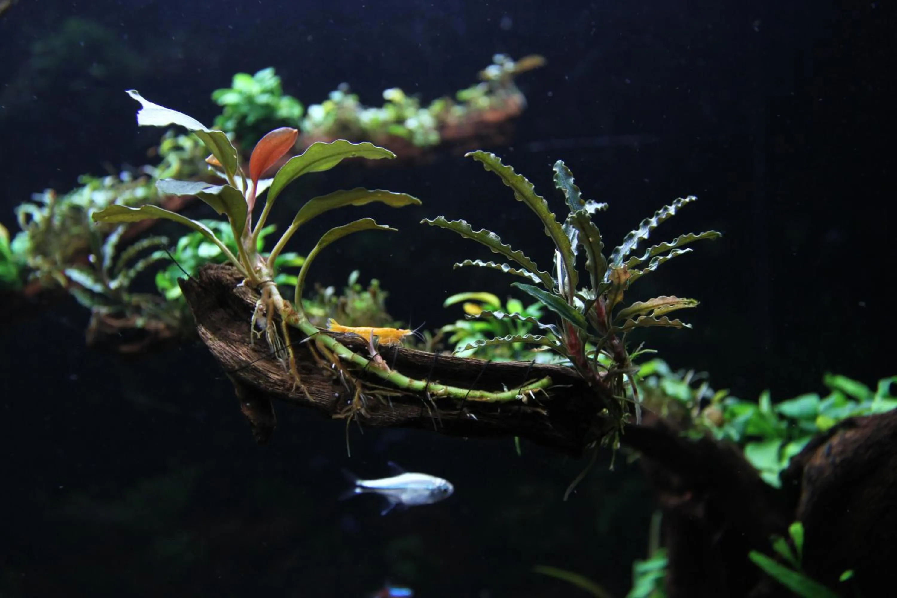 Property building in Ngoc Minh Hotel