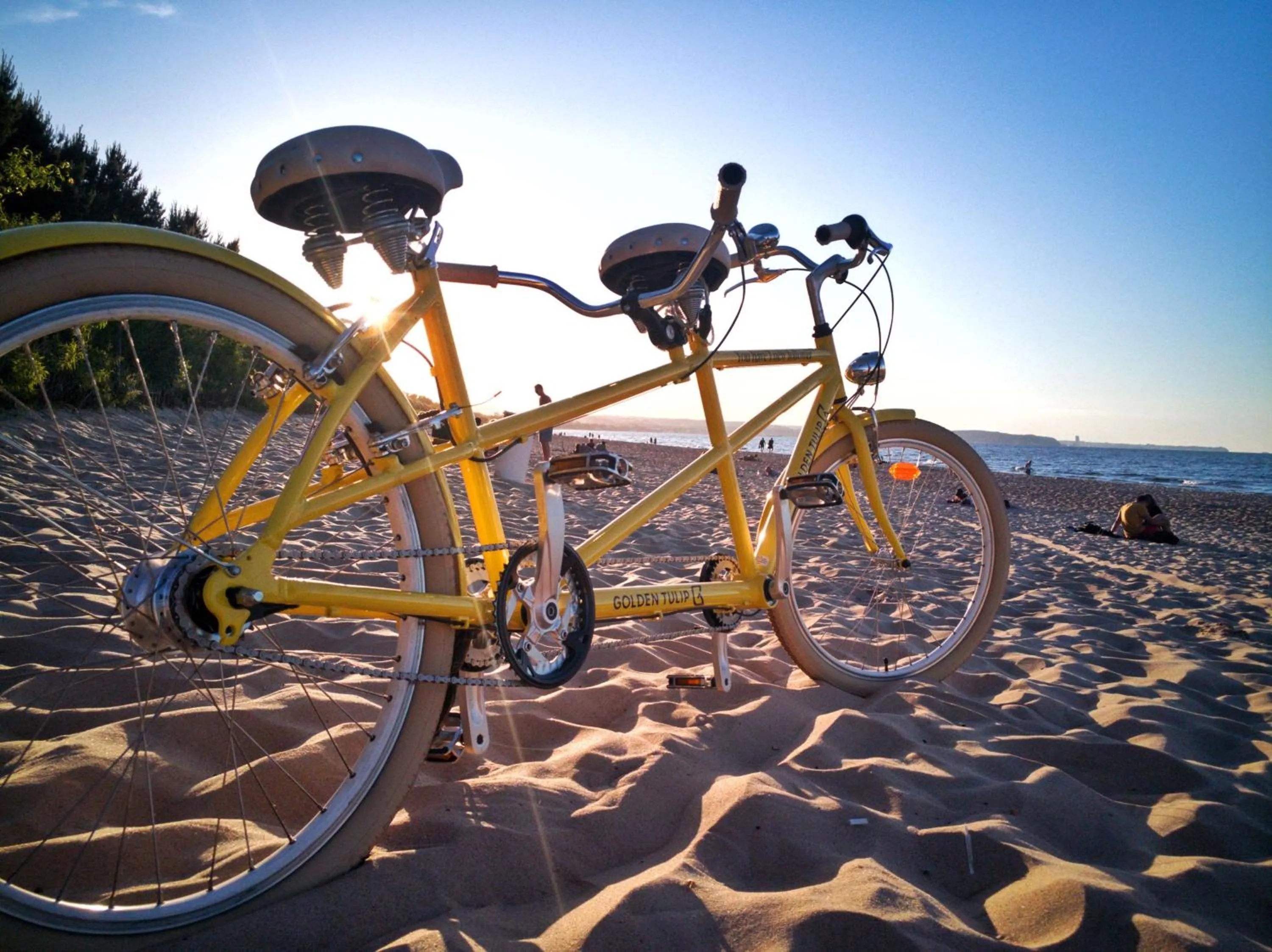 Cycling in Golden Tulip Gdańsk Residence