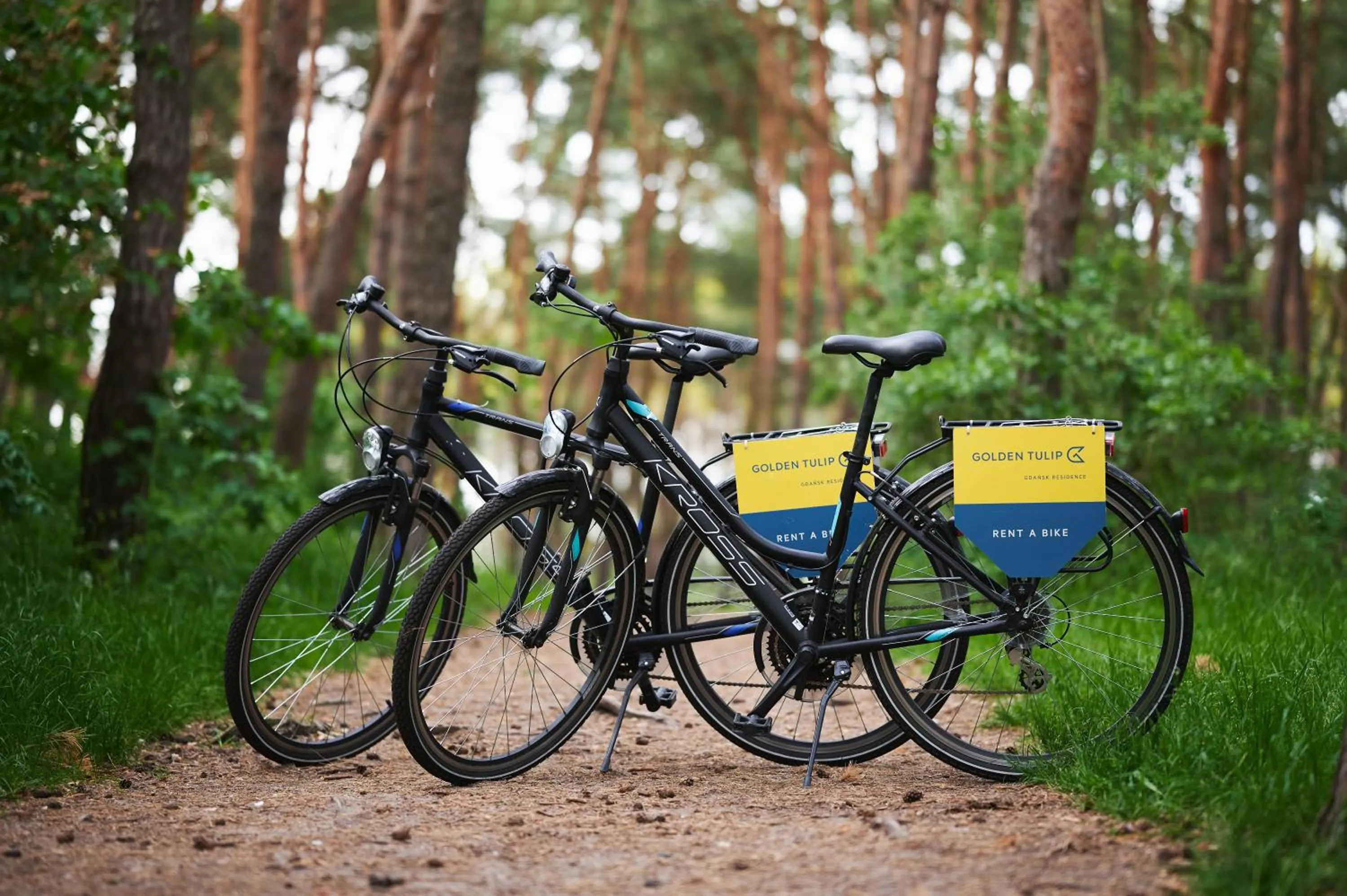 Other in Golden Tulip Gdańsk Residence