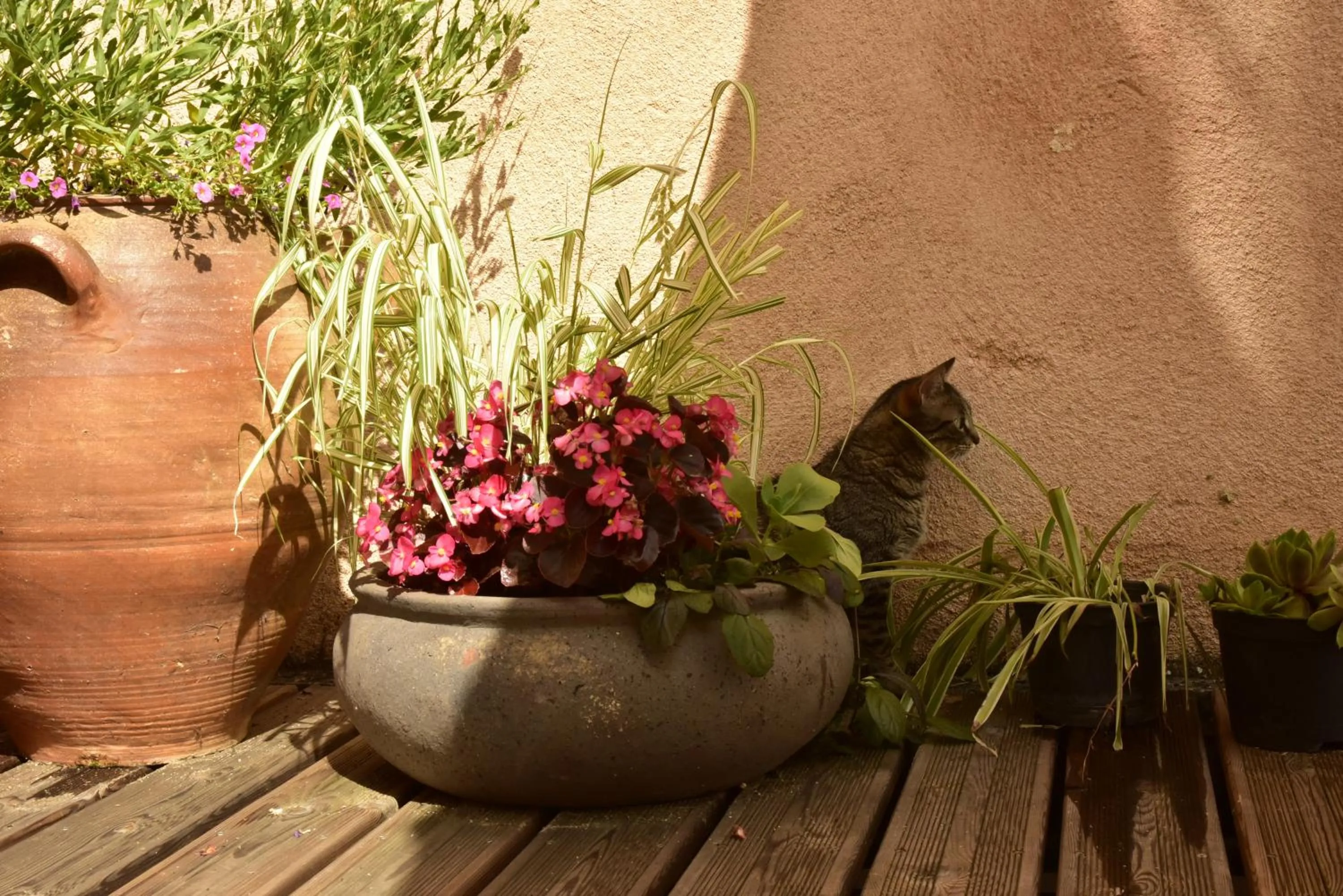 Patio in Logis Hôtel Le Boudoir