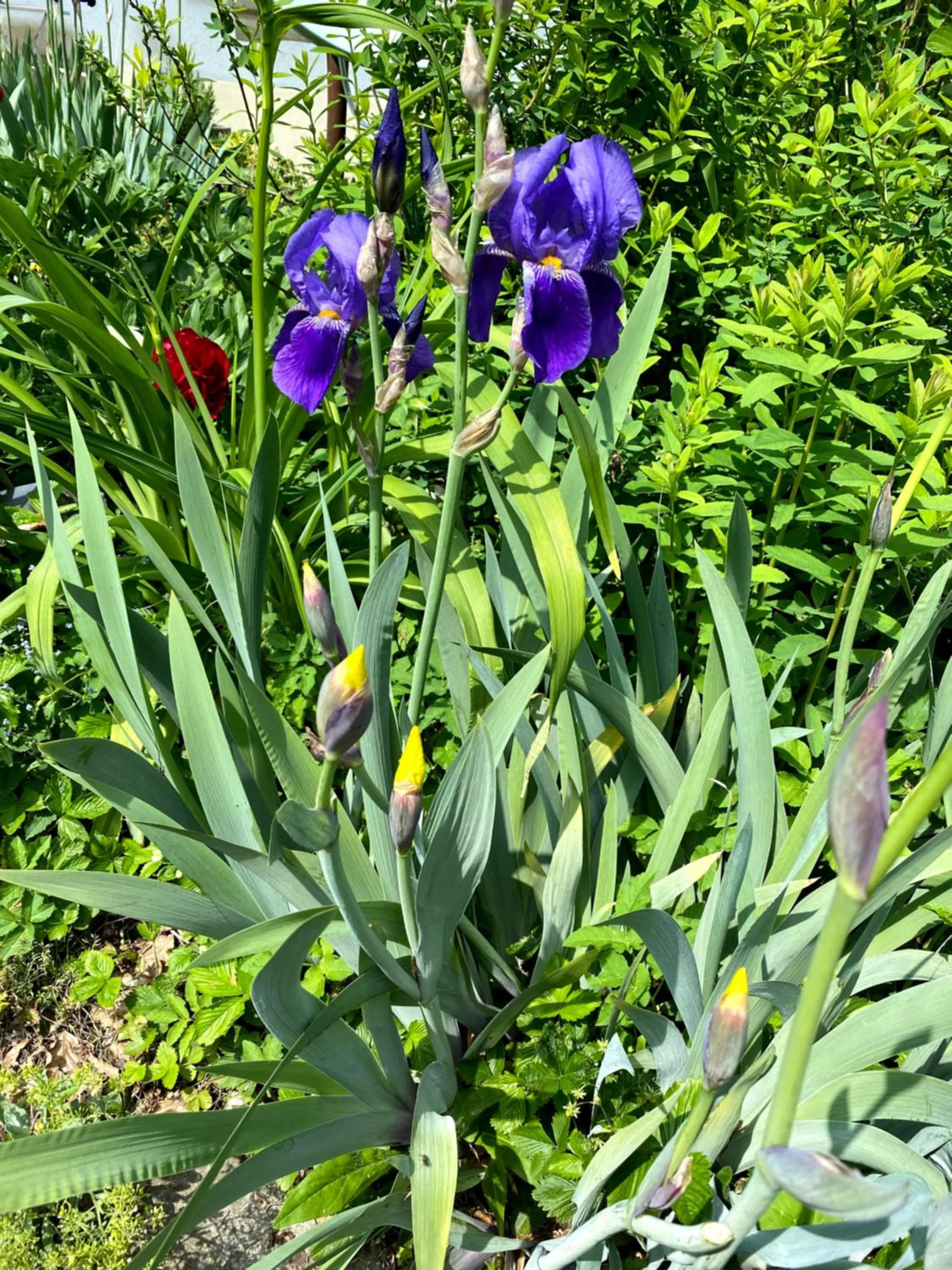 Property building in B&B tannen124