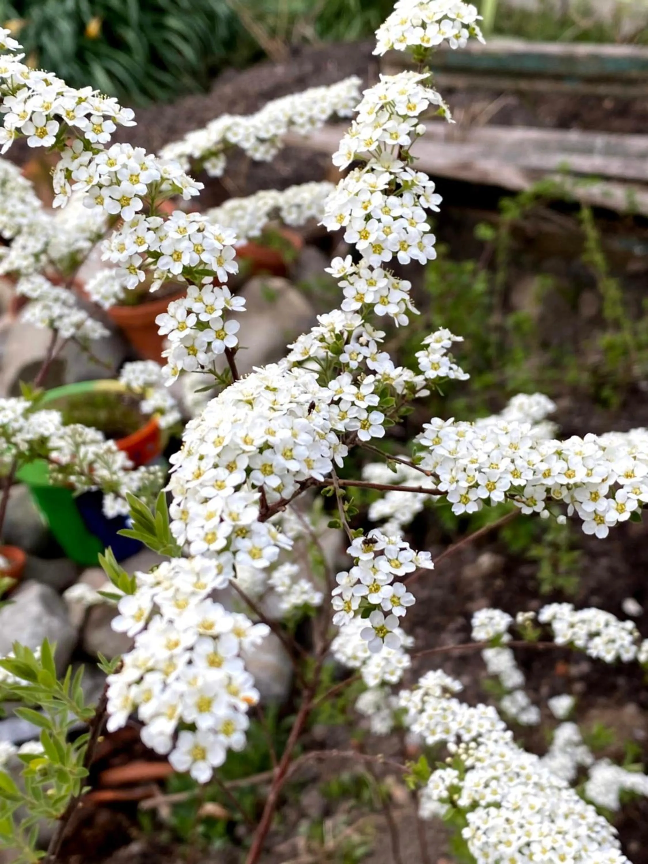 Property building in B&B tannen124