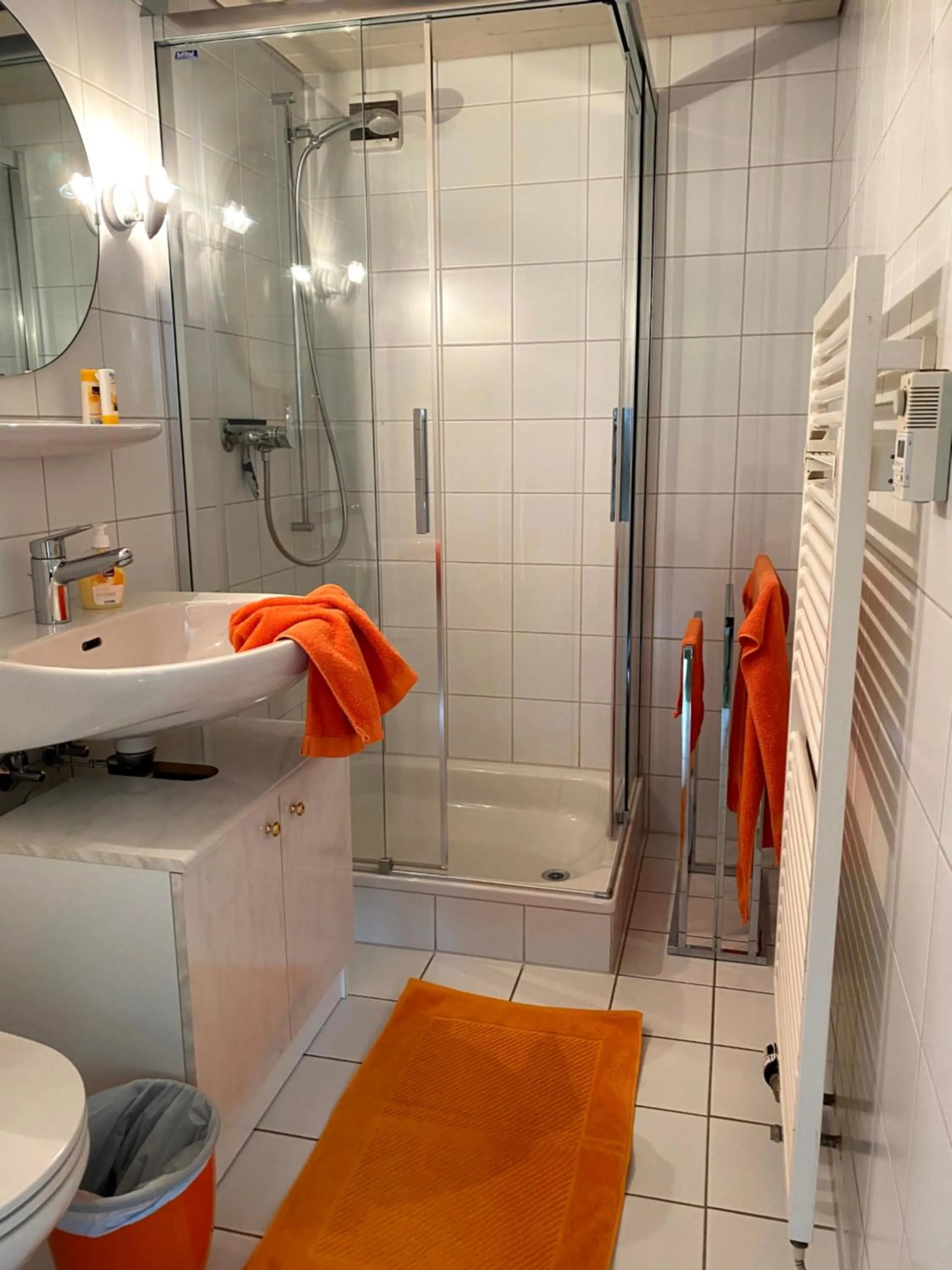 Shower in B&B tannen124