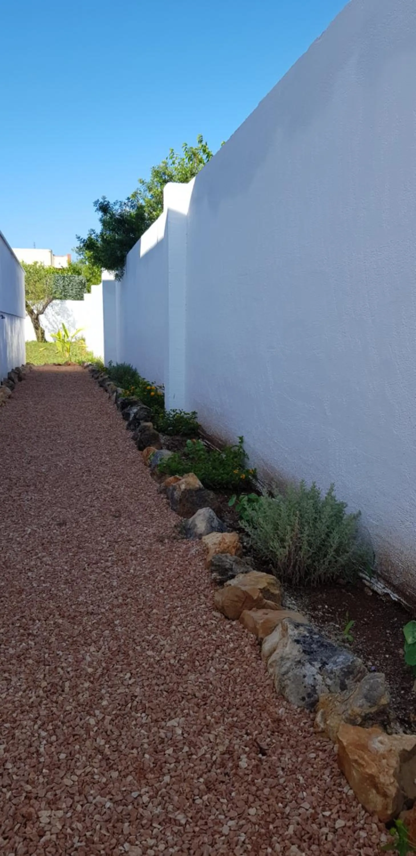 Garden in I 7 Peccati