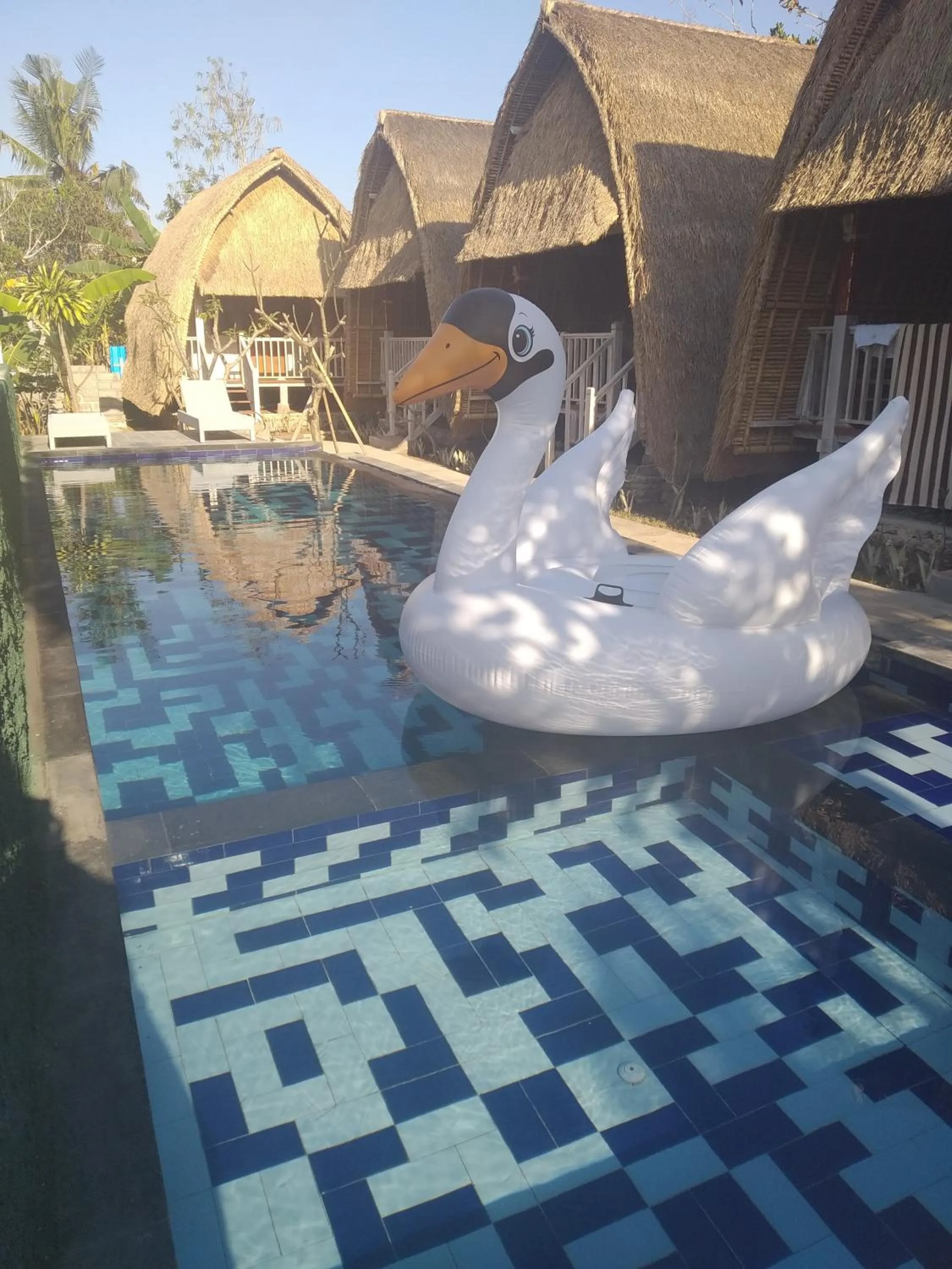 Pool view in HoneyBee Huts