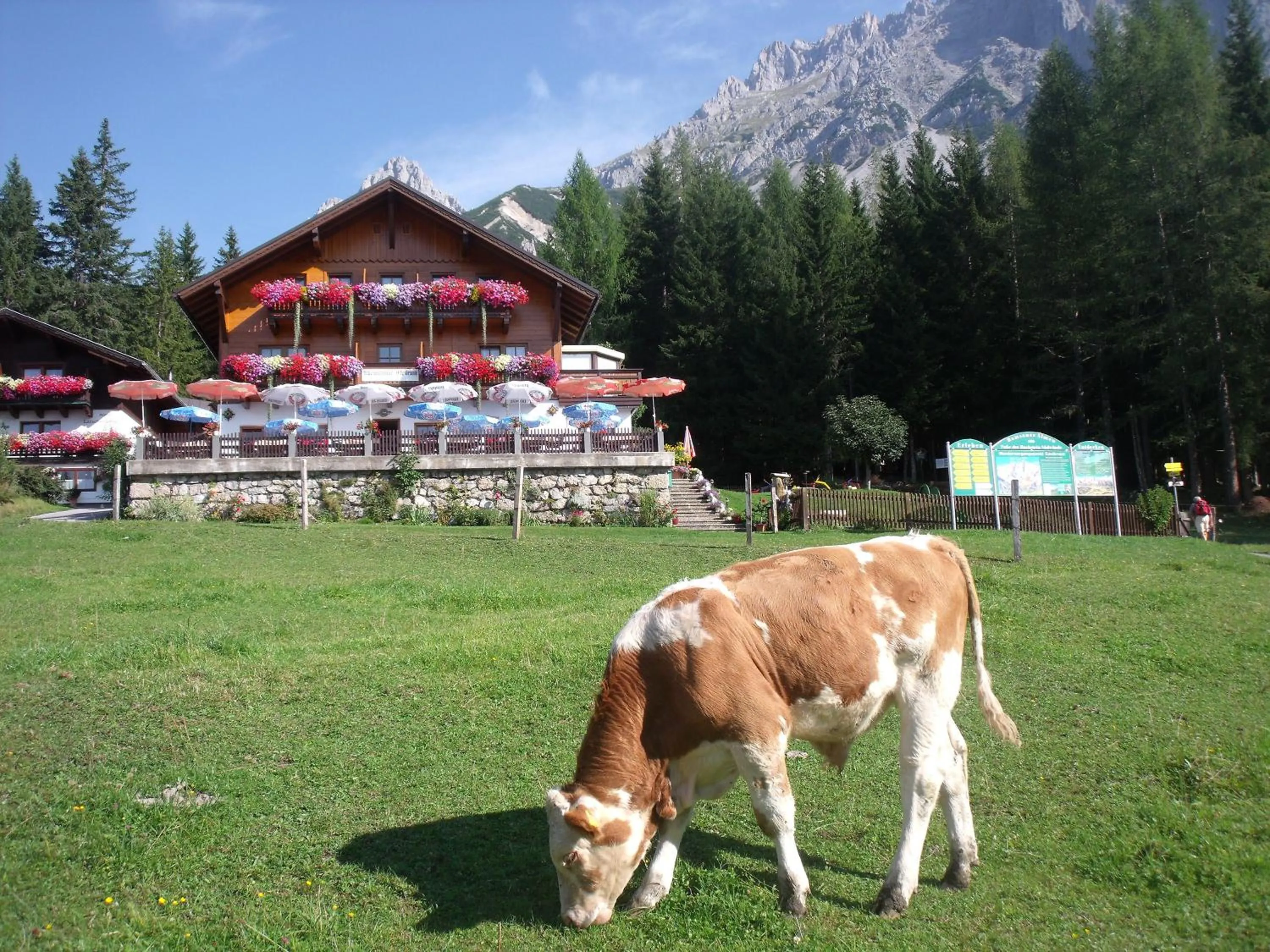 Property building in Gasthof Edelbrunn