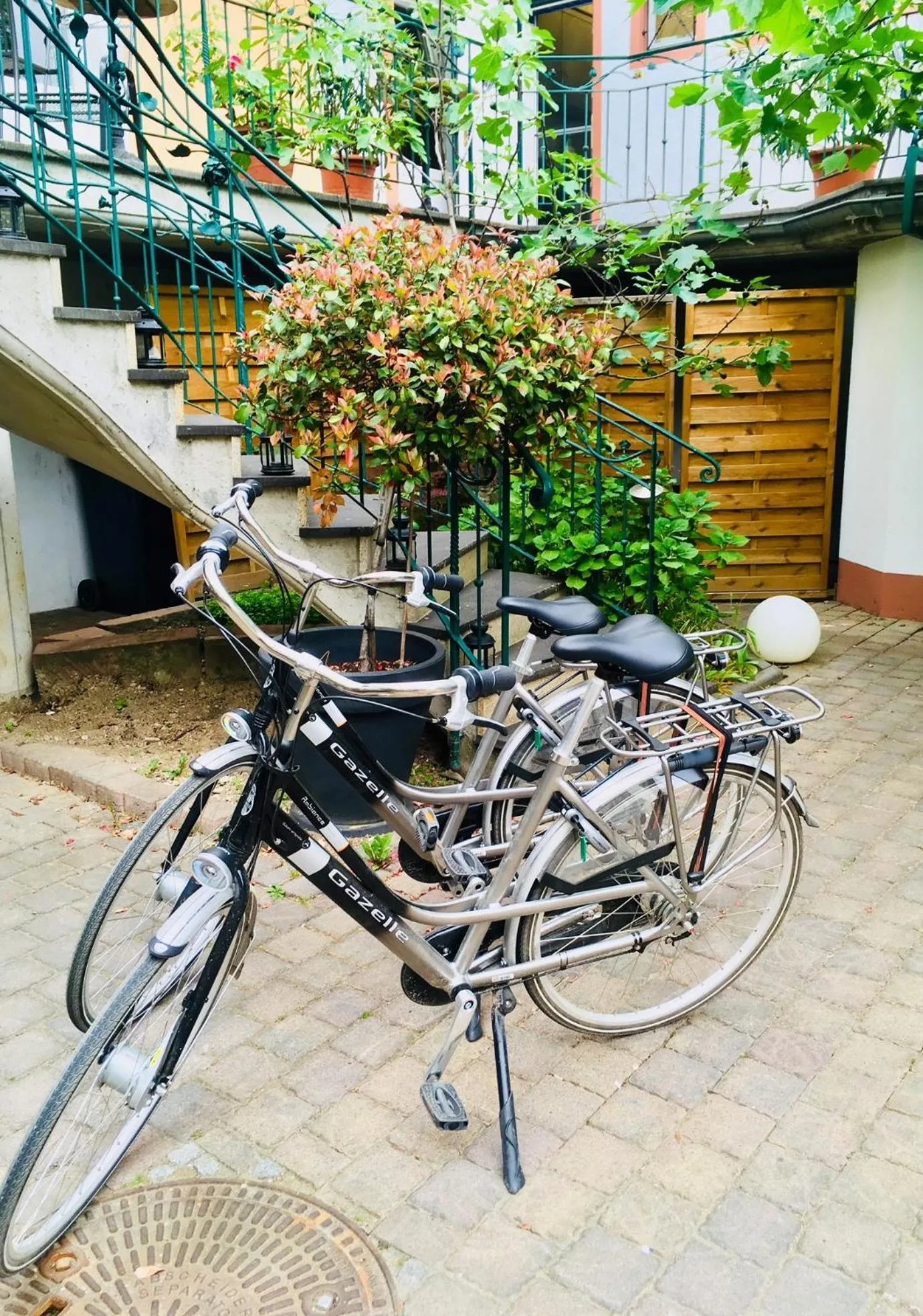 Area and facilities in Hotel Frankenbach