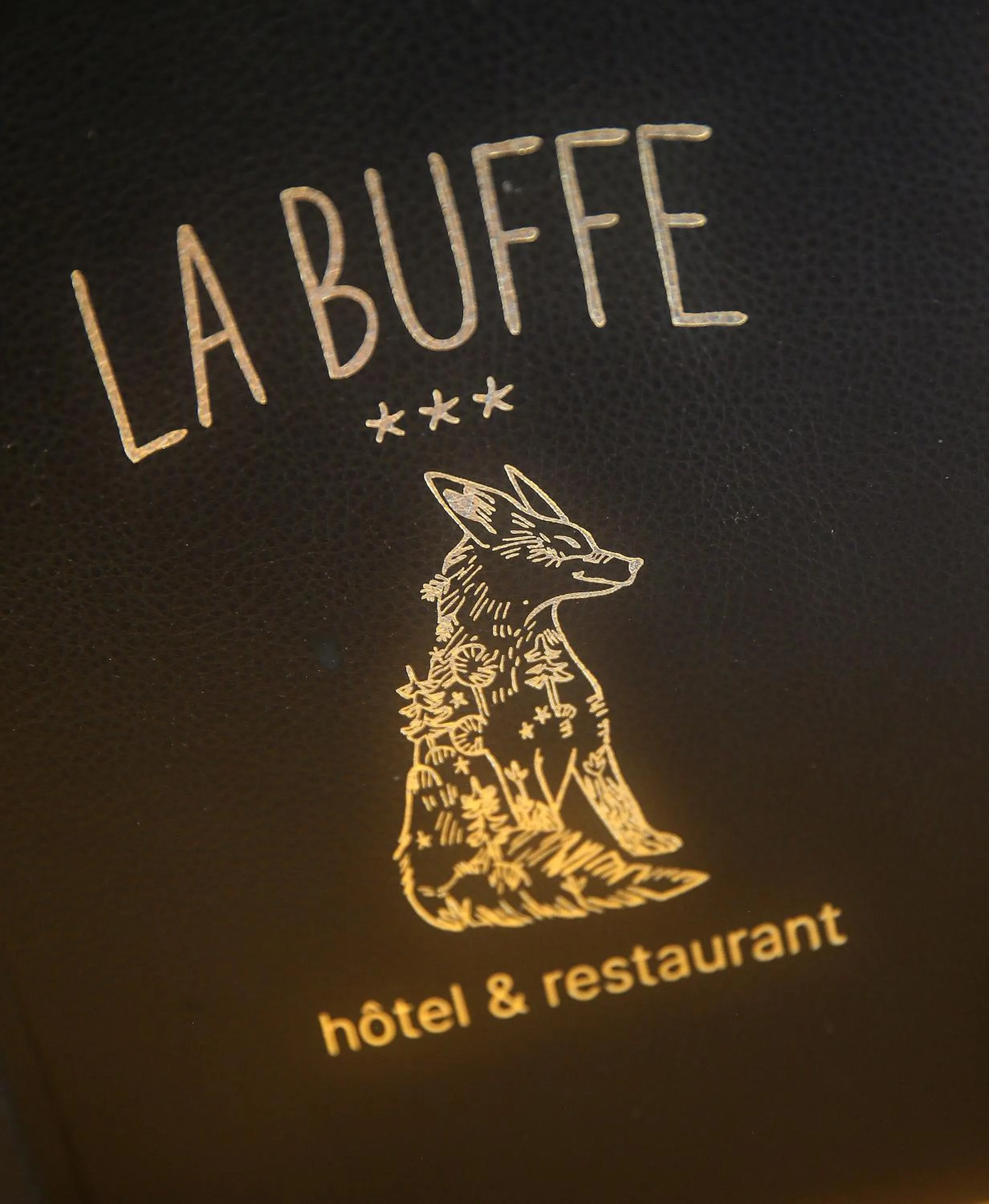 Property logo or sign in Hôtel Restaurant La Buffe