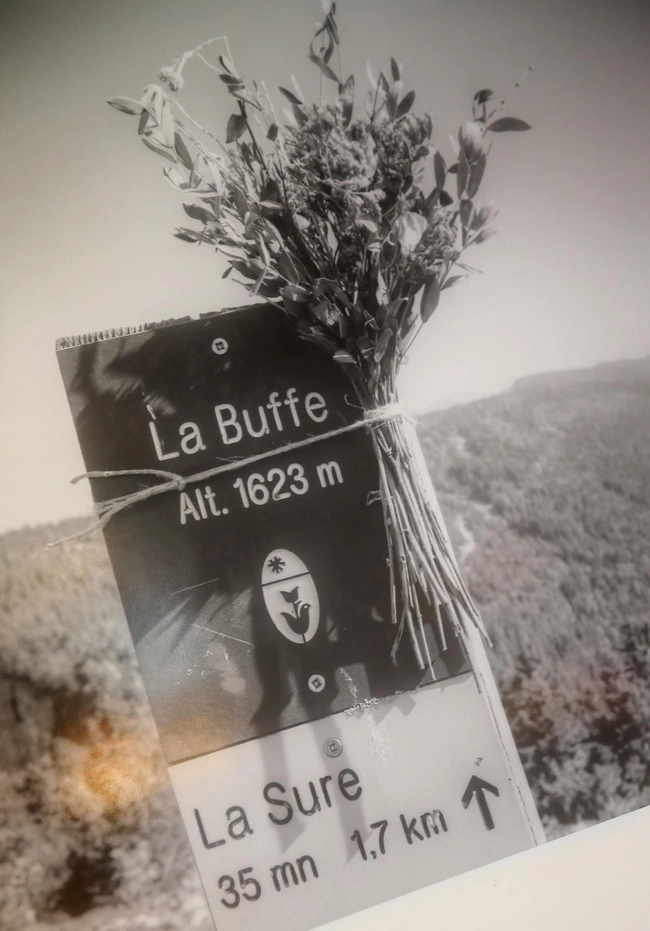 Natural landscape in Hôtel Restaurant La Buffe