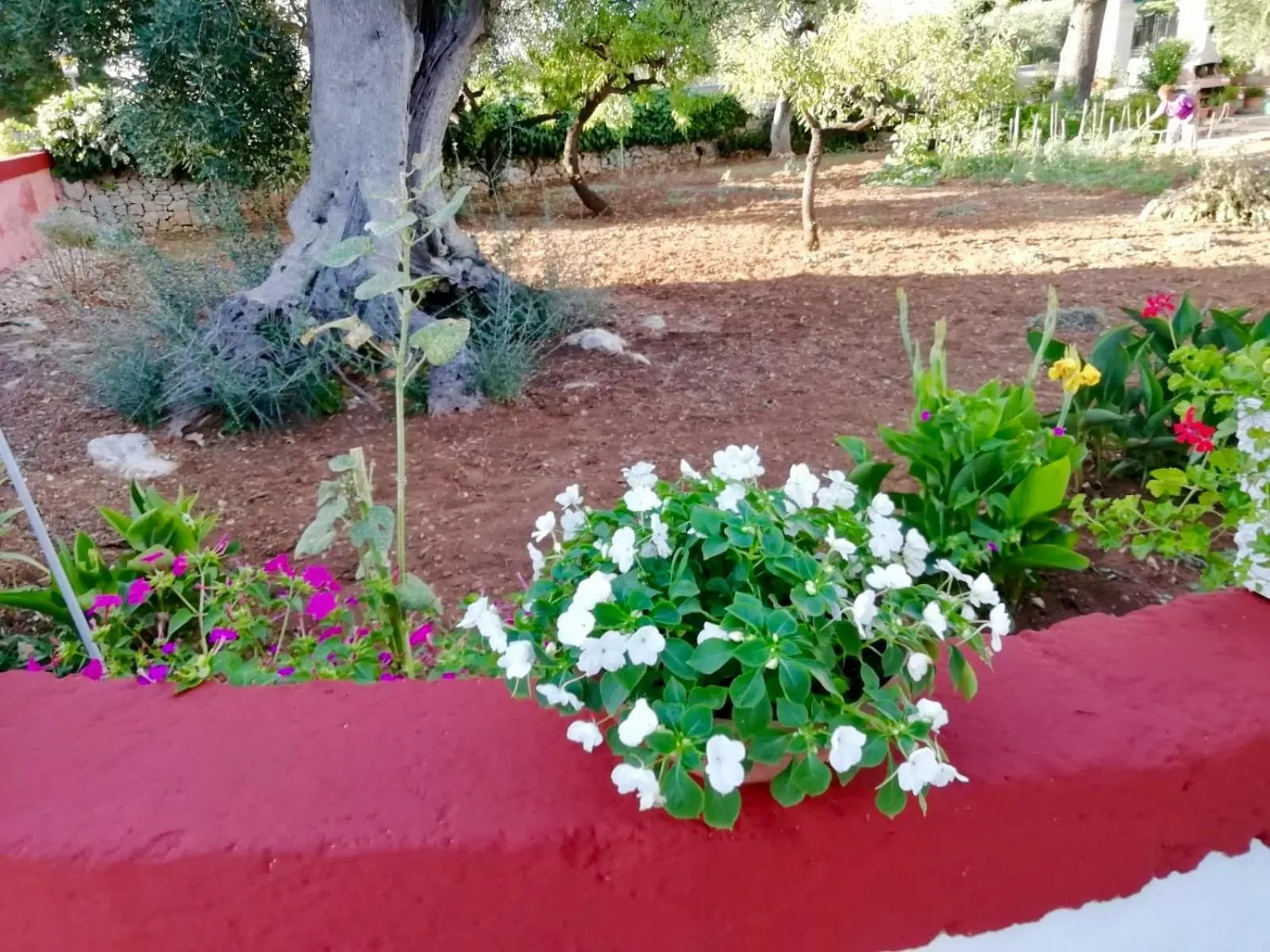 Garden in Dimora Sofia