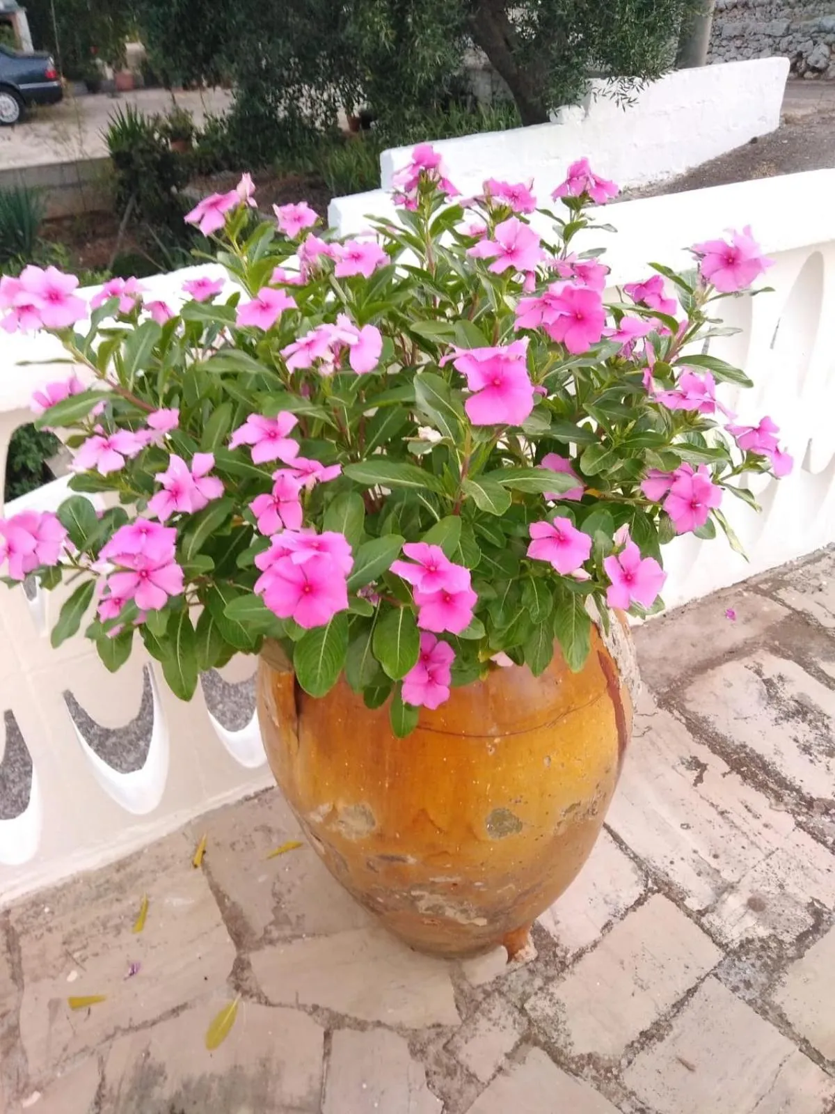 Decorative detail in Dimora Sofia