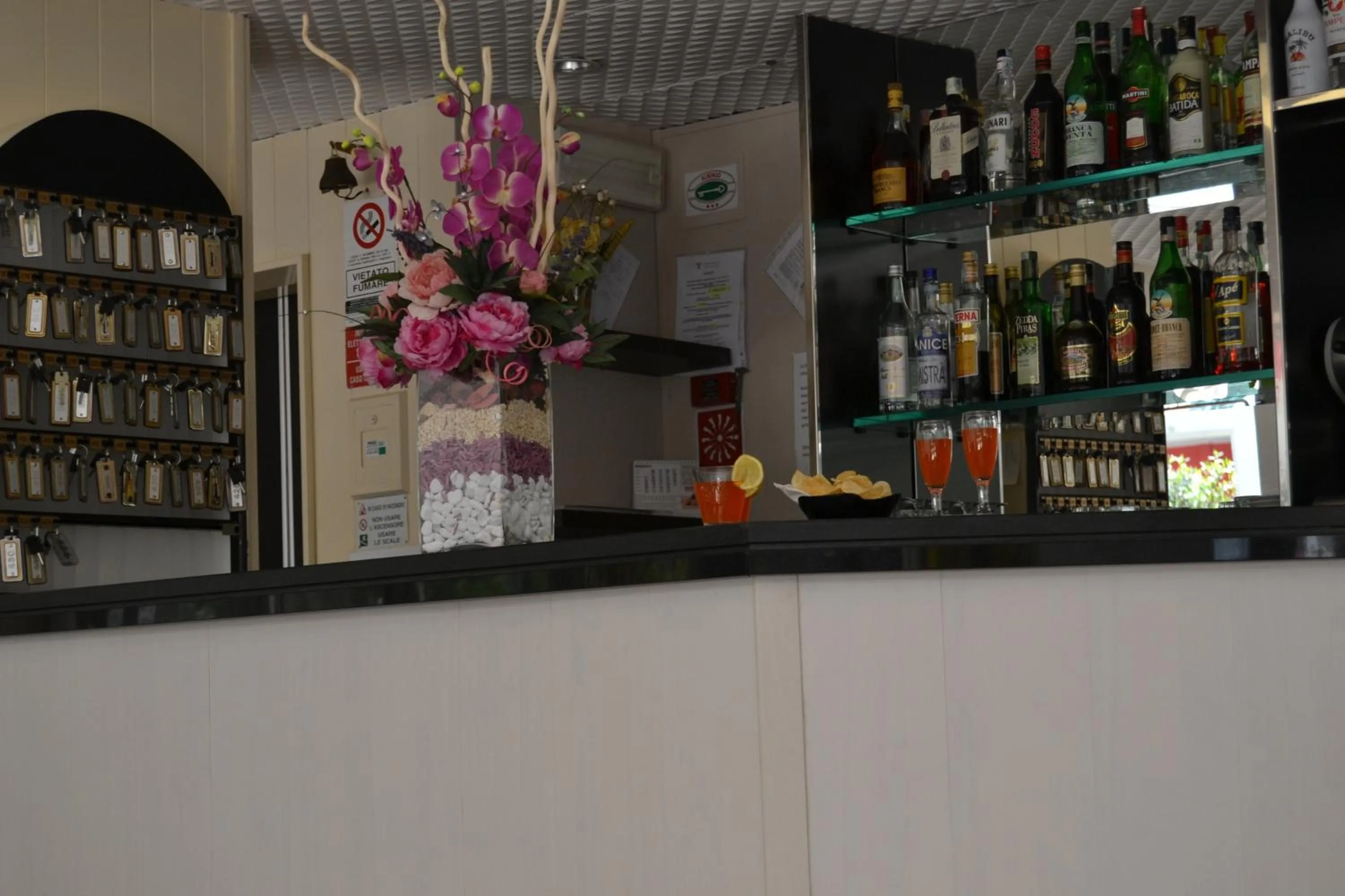 Lounge or bar in Hotel Senyor