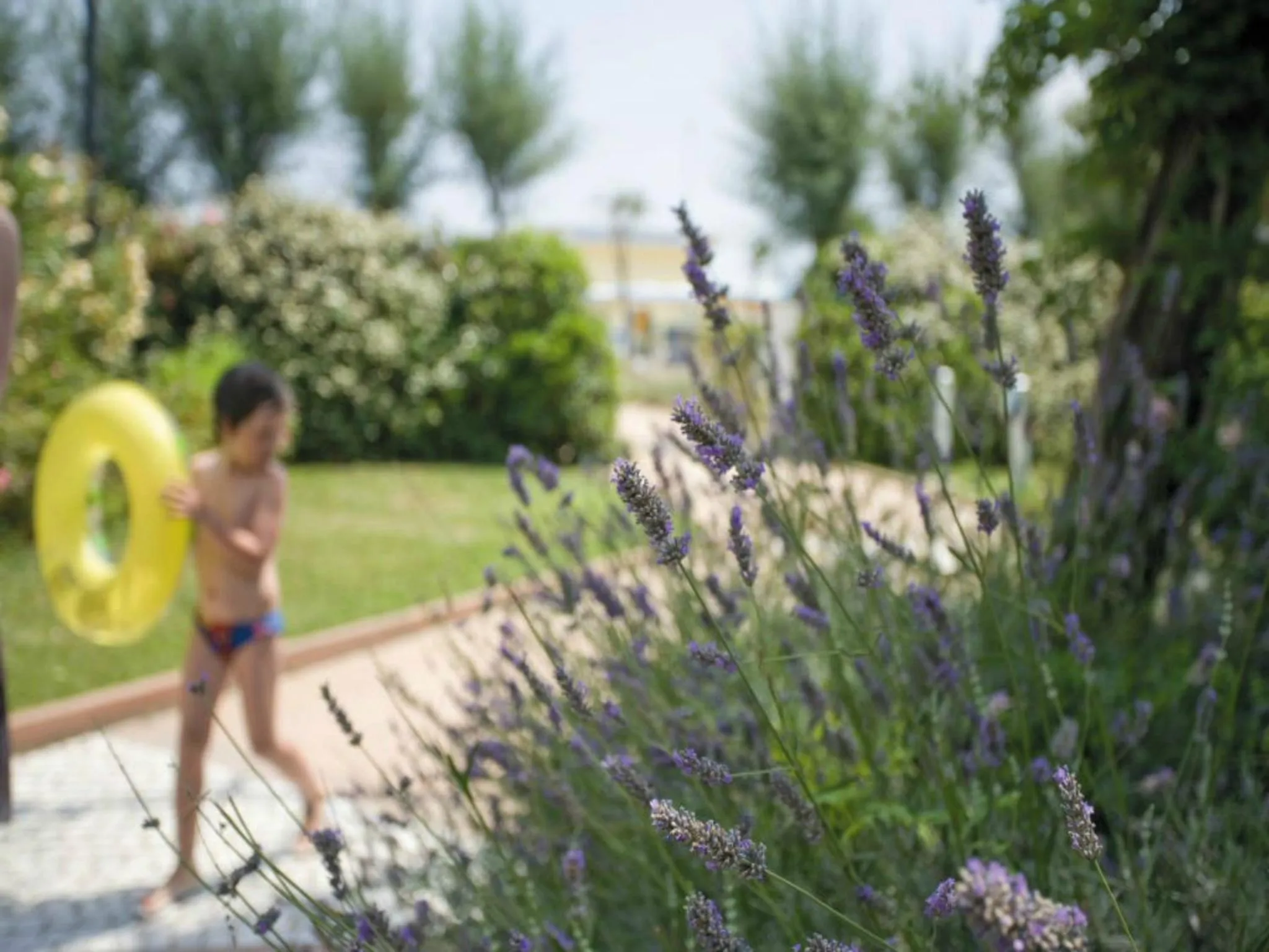 Garden in Hotel Bellevue Beach - sul mare