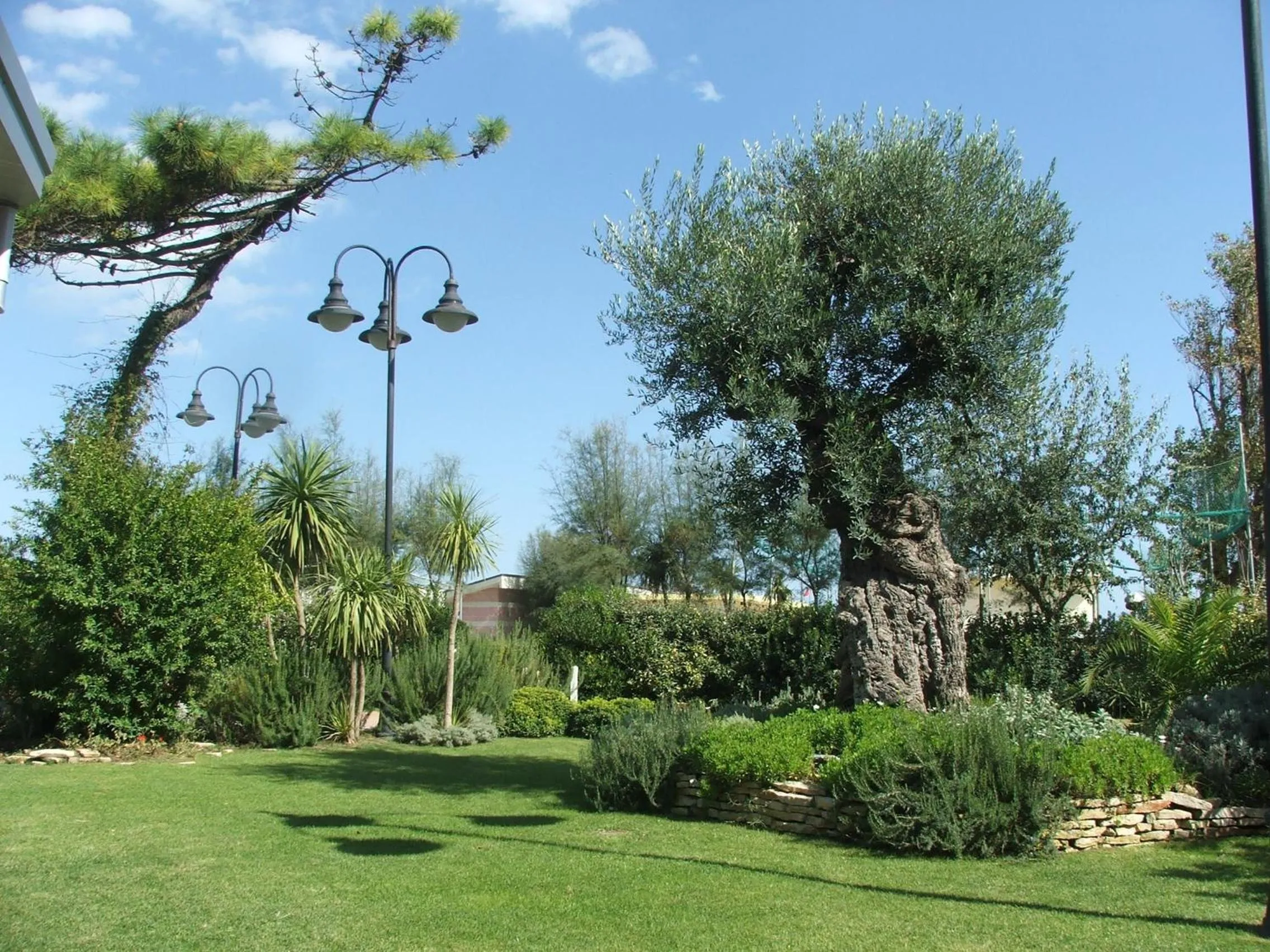 Garden in Hotel Bellevue Beach - sul mare