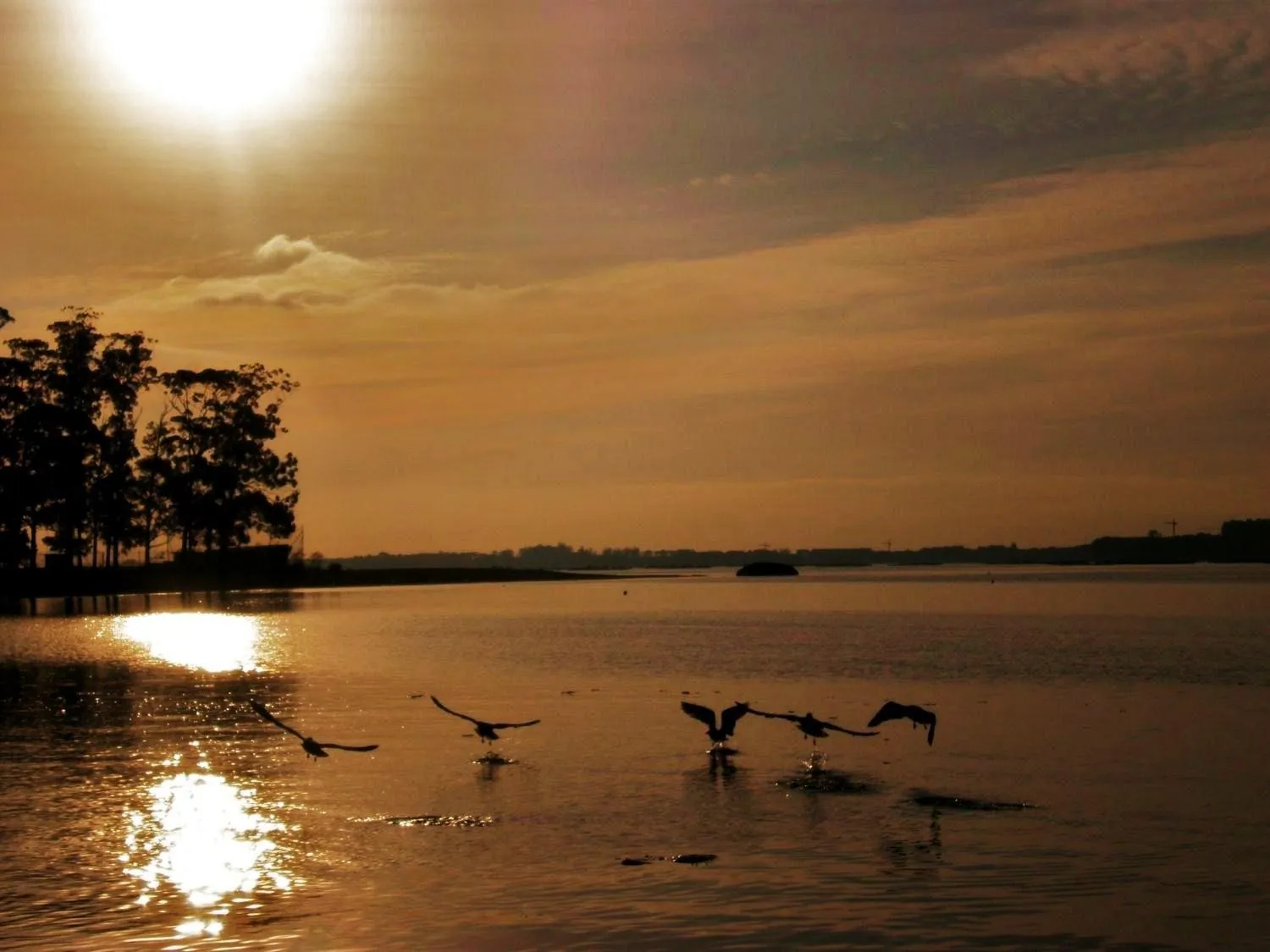 Beach in Hotel Leal - La Sirena