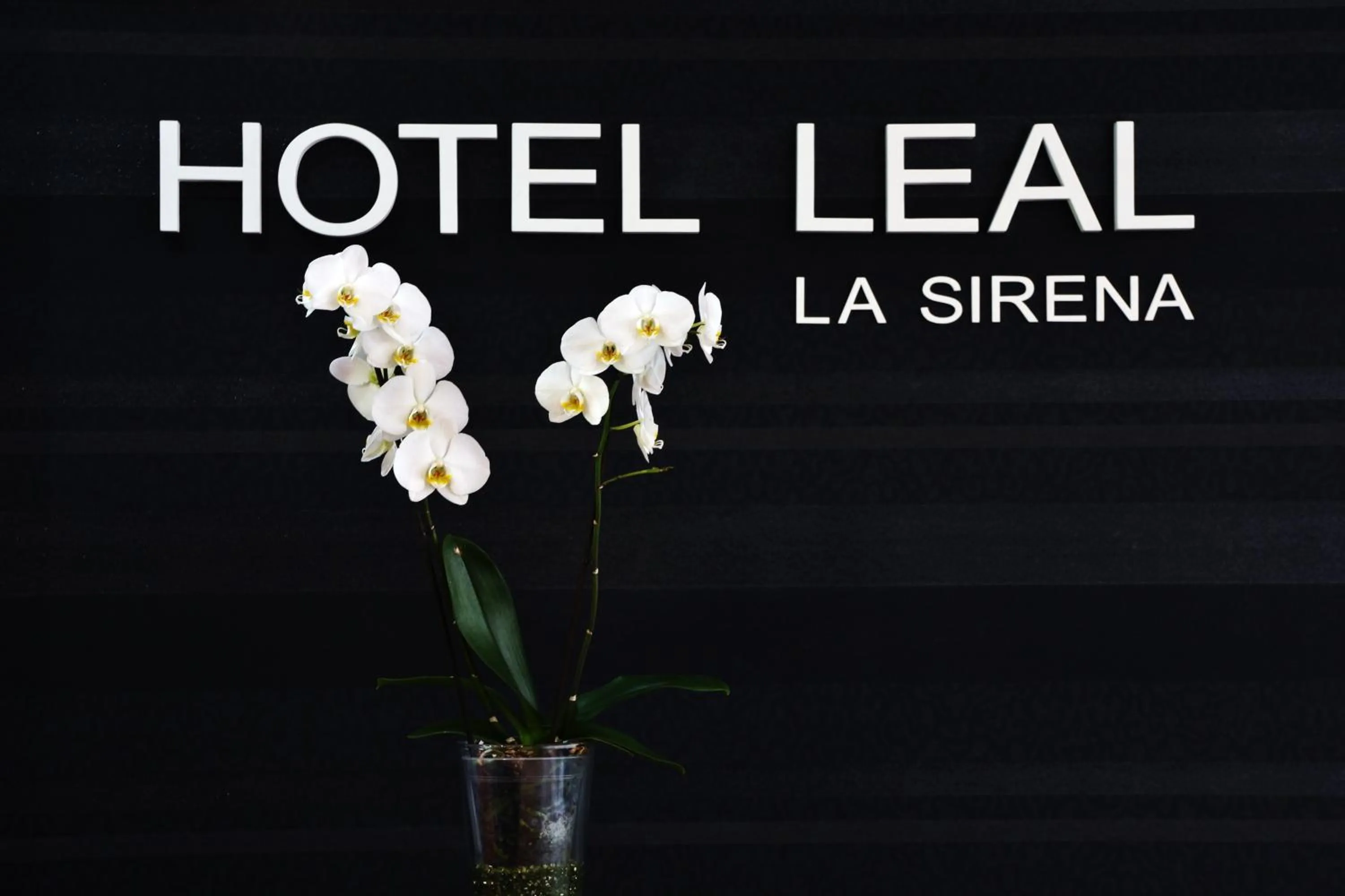 Property logo or sign in Hotel Leal - La Sirena