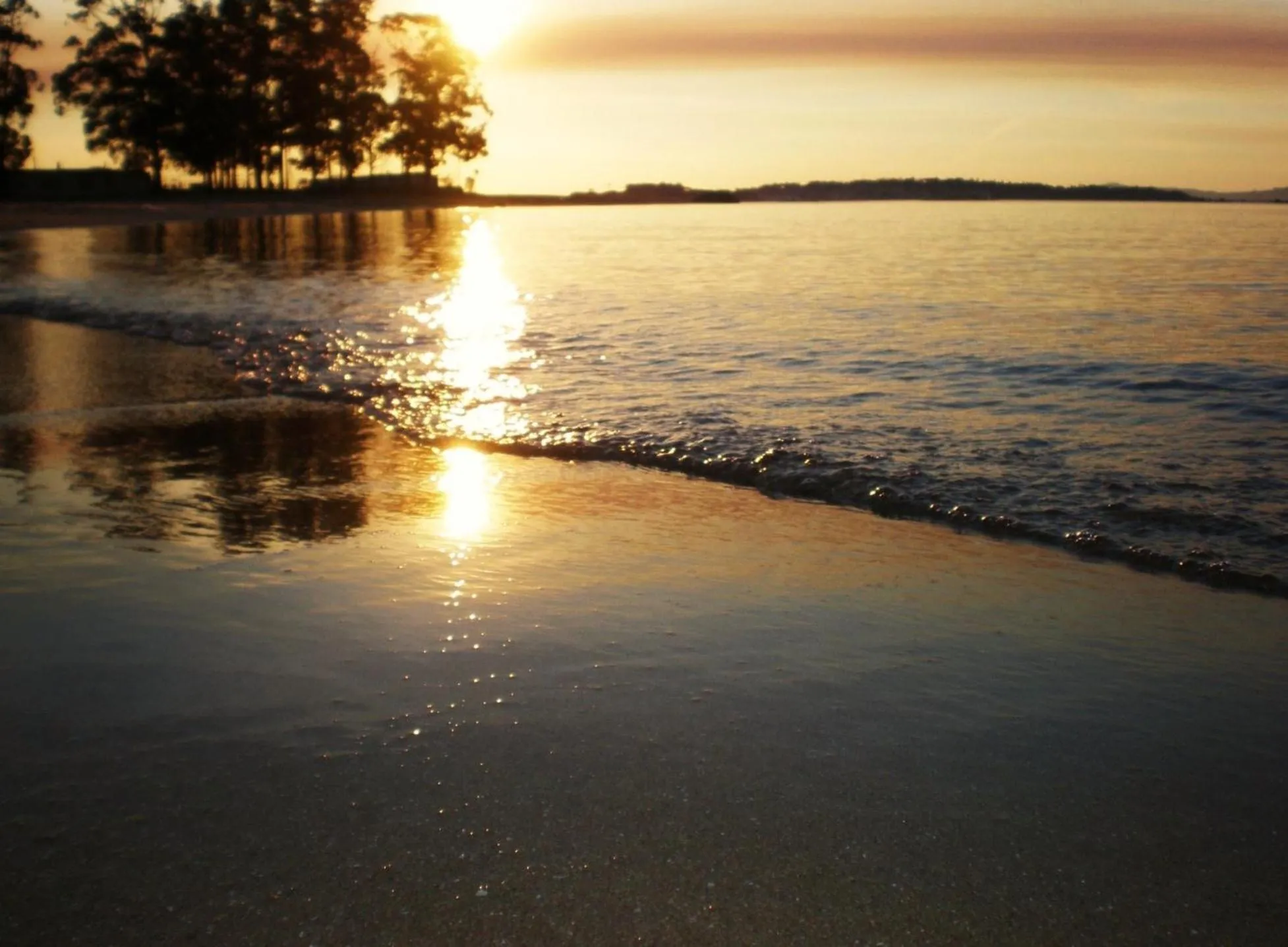Natural landscape in Hotel Leal - La Sirena