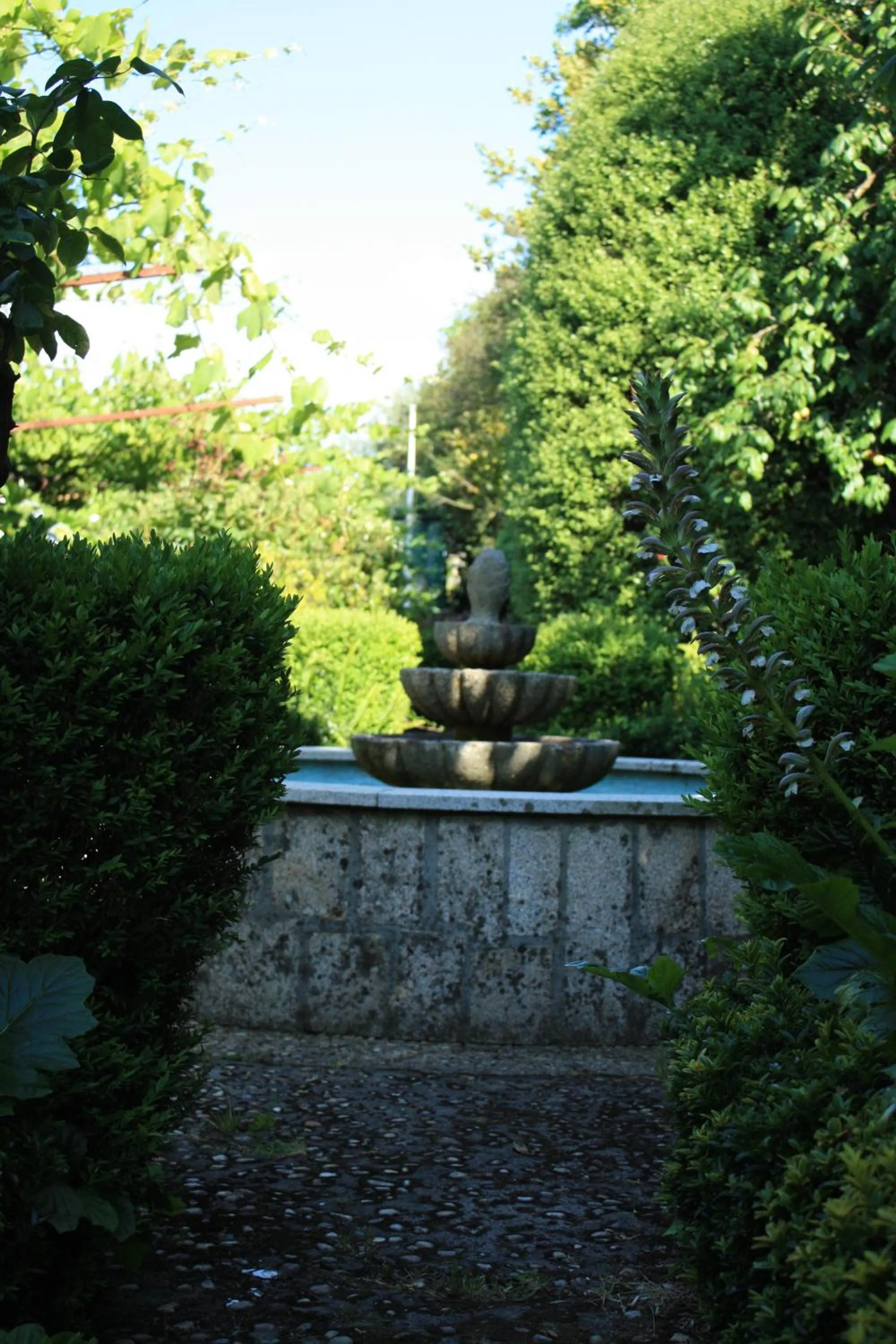 Garden in Hotel Leal - La Sirena