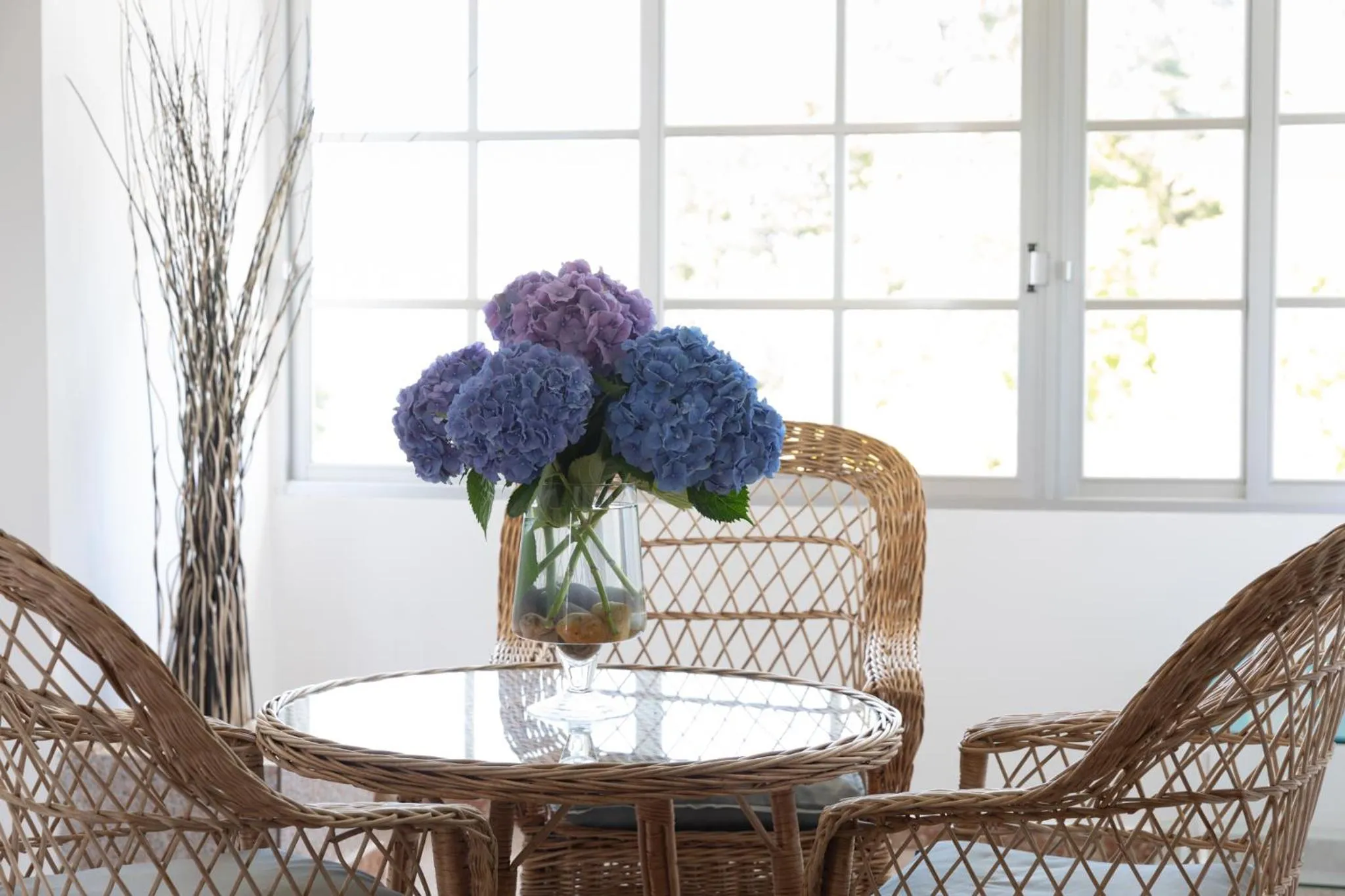 Living room in Hotel Leal - La Sirena