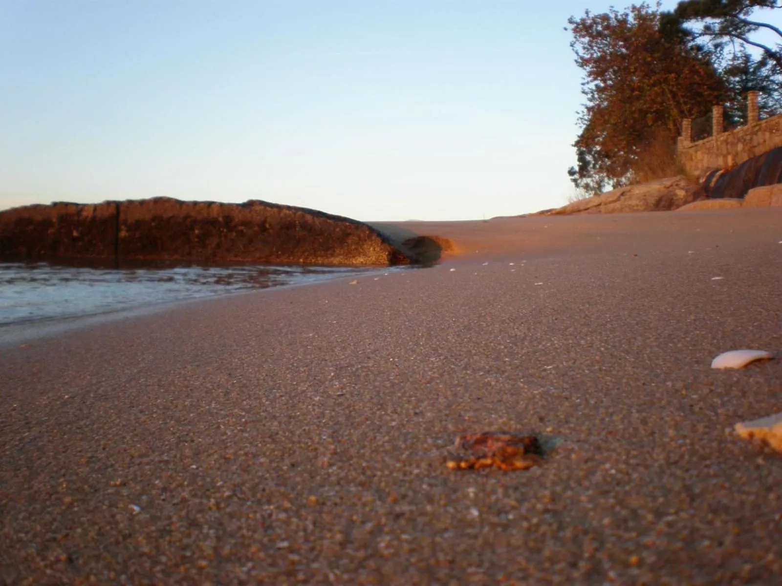 Beach in Hotel Leal - La Sirena