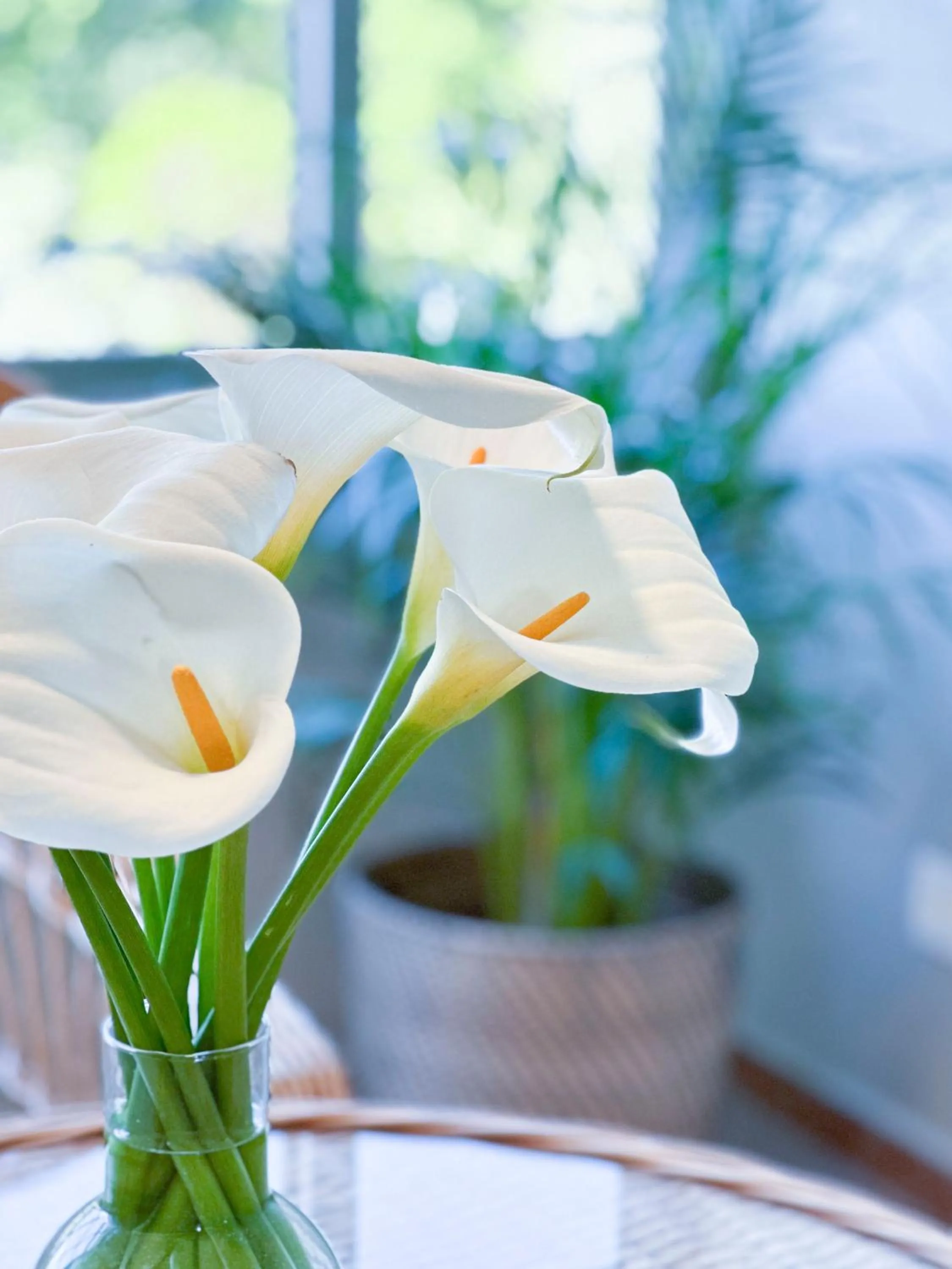 Living room in Hotel Leal - La Sirena