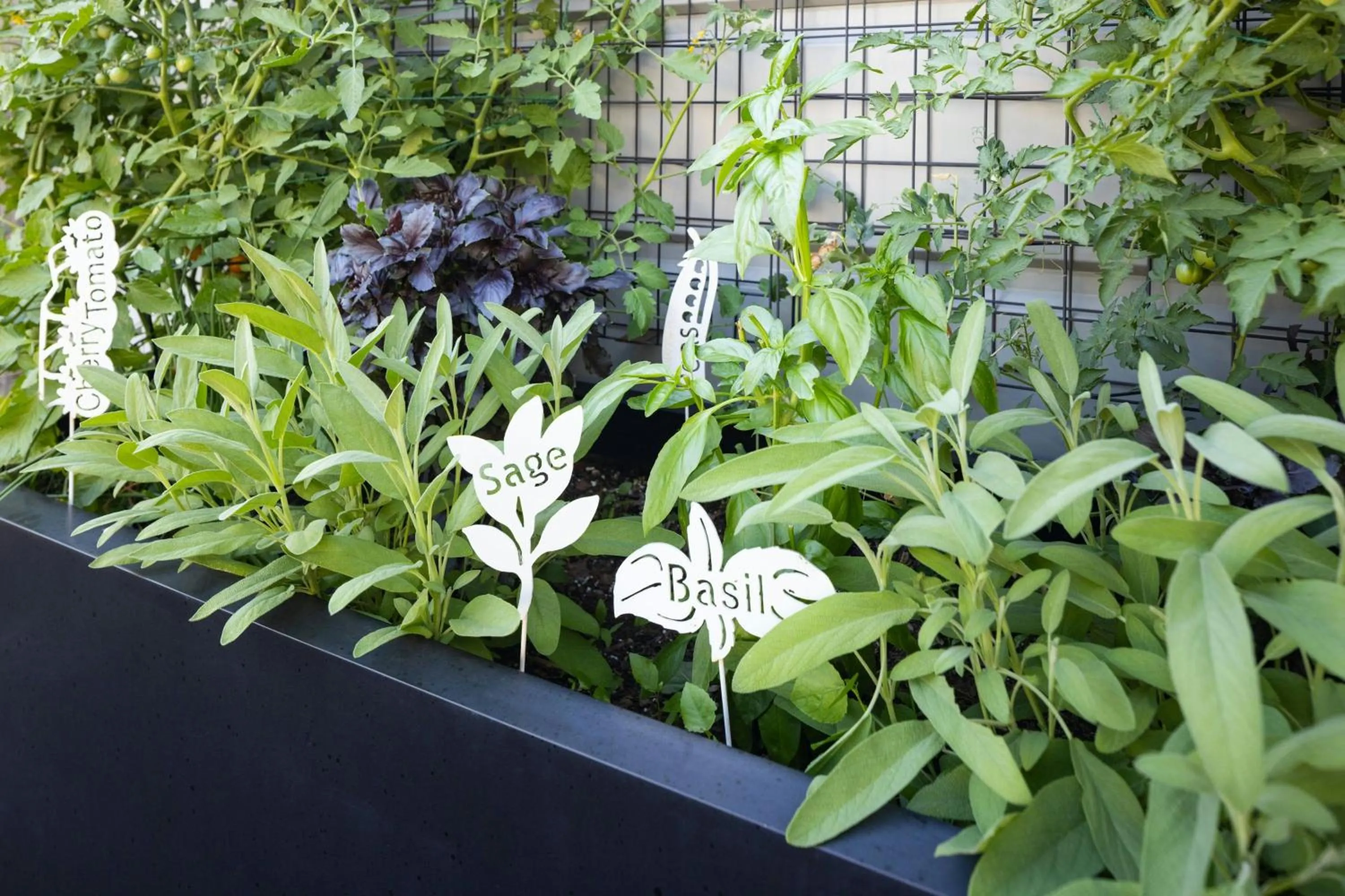 Other in Element Minneapolis Downtown North Loop