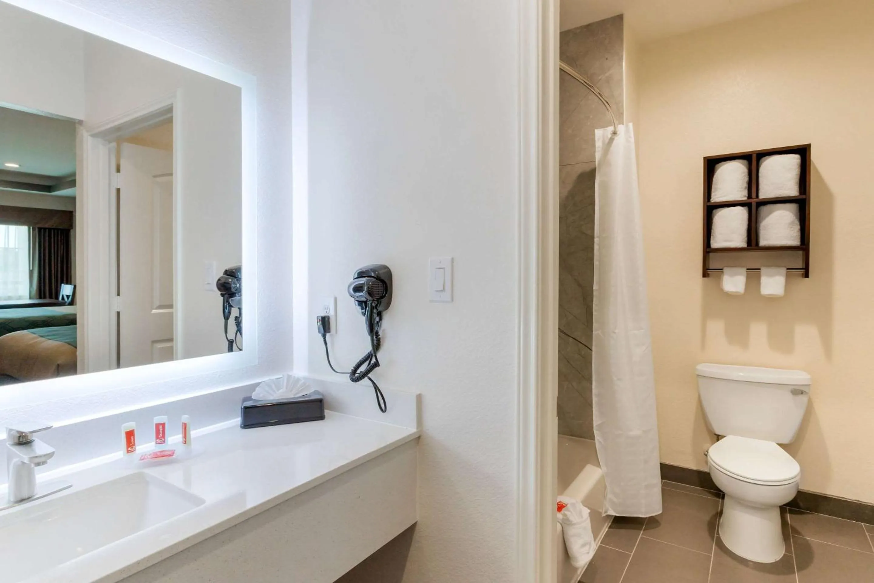 Bathroom in Econo Lodge Houston Northwest - Cypress