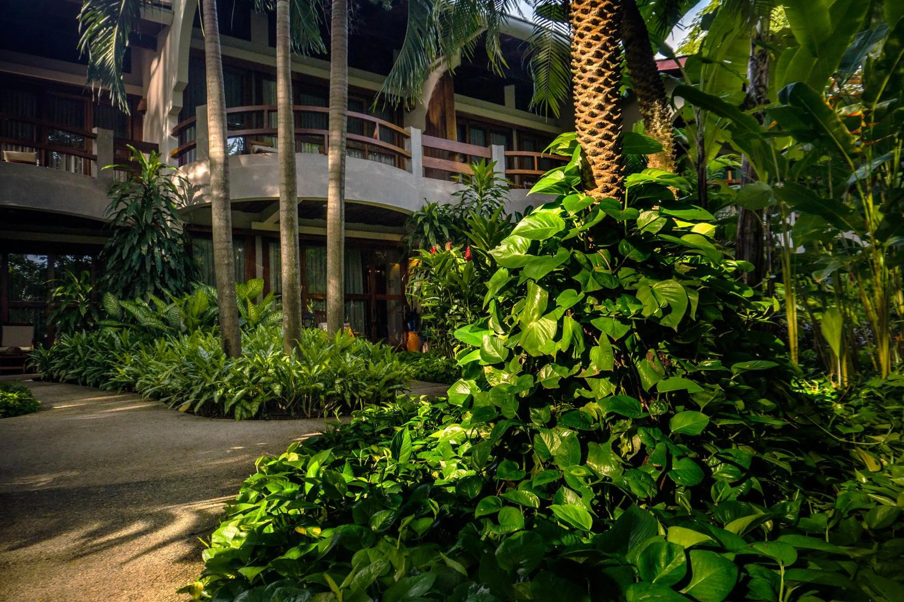 Day in Capitán Suizo Beachfront Boutique Hotel