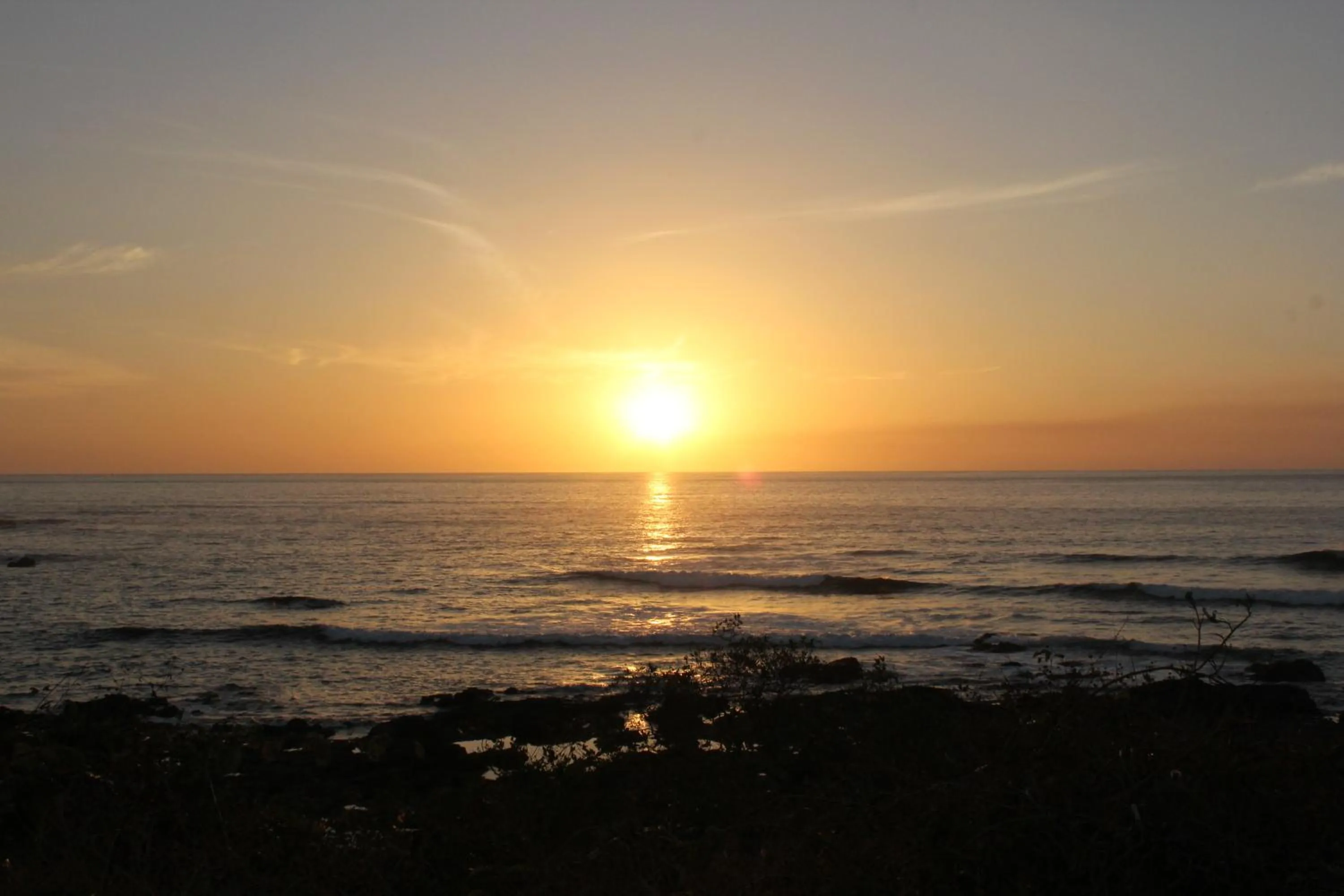Natural landscape in Capitán Suizo Beachfront Boutique Hotel