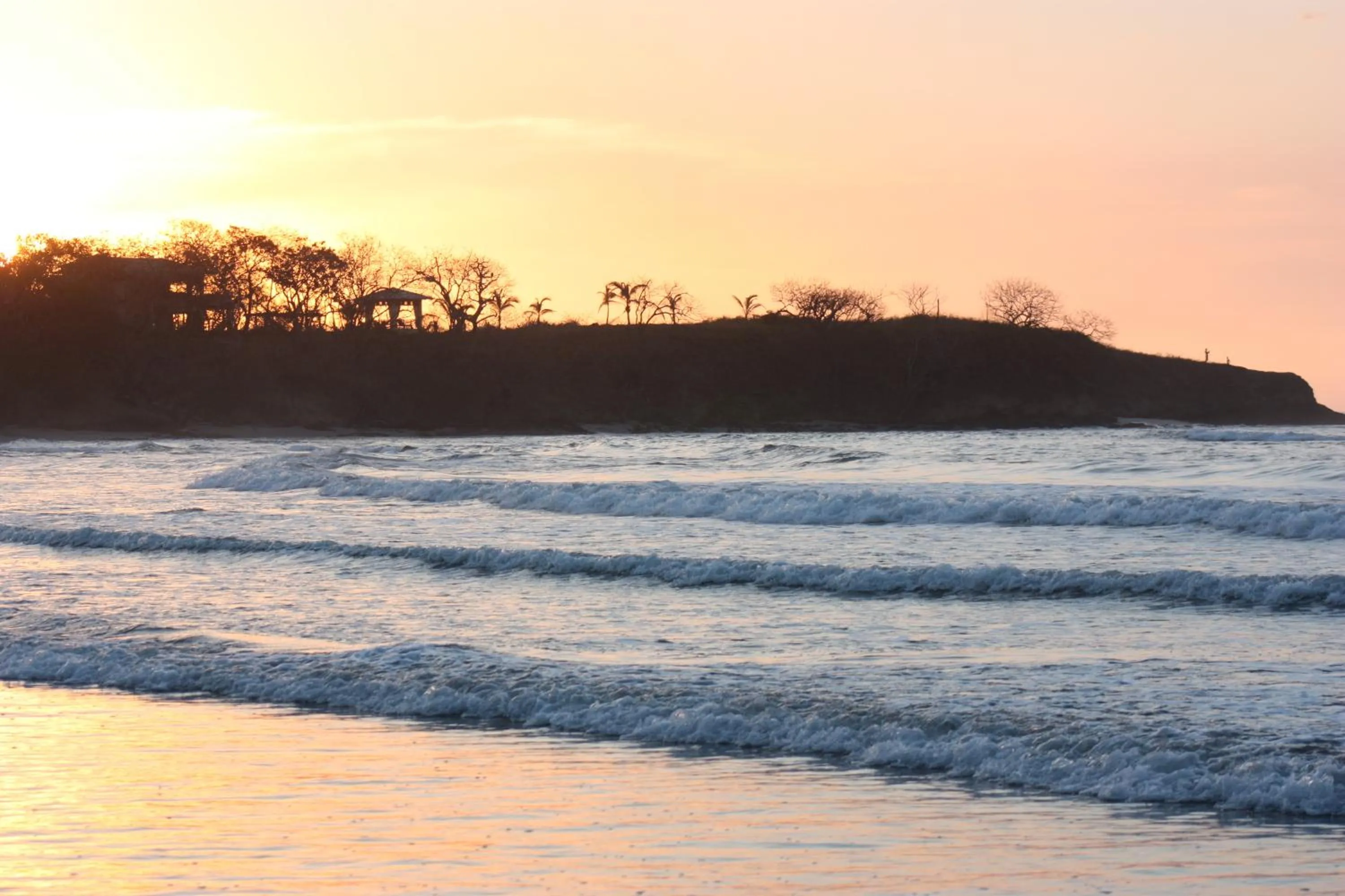 Natural landscape in Capitán Suizo Beachfront Boutique Hotel