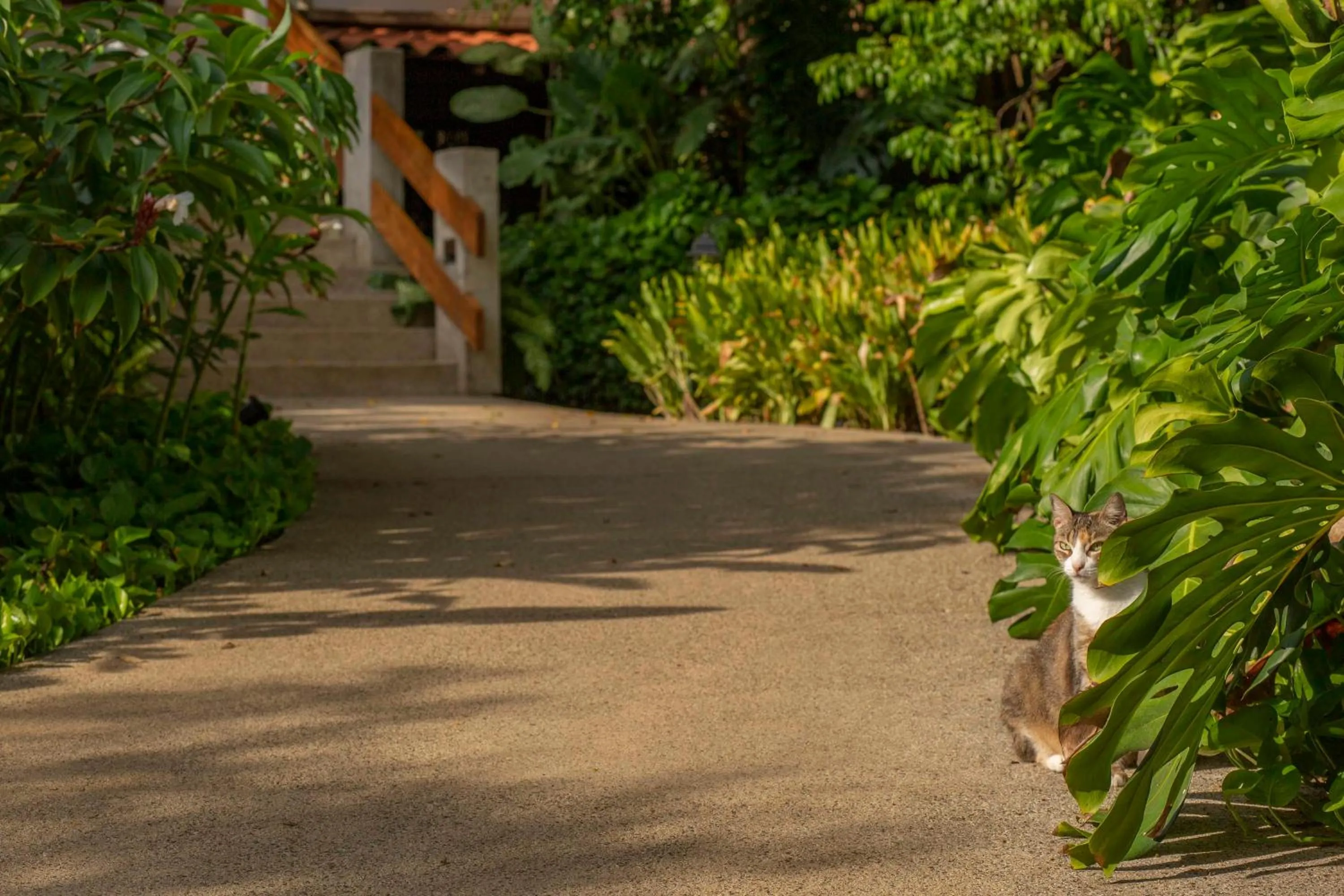 Day in Capitán Suizo Beachfront Boutique Hotel