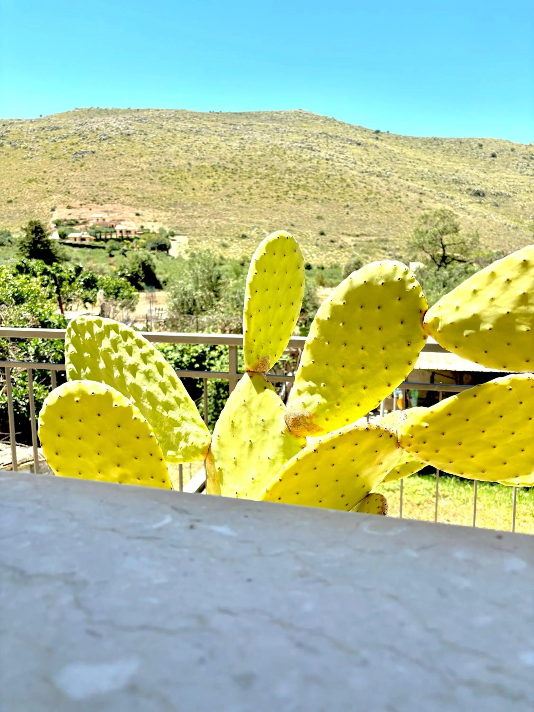 Bed And Breakfast Turi