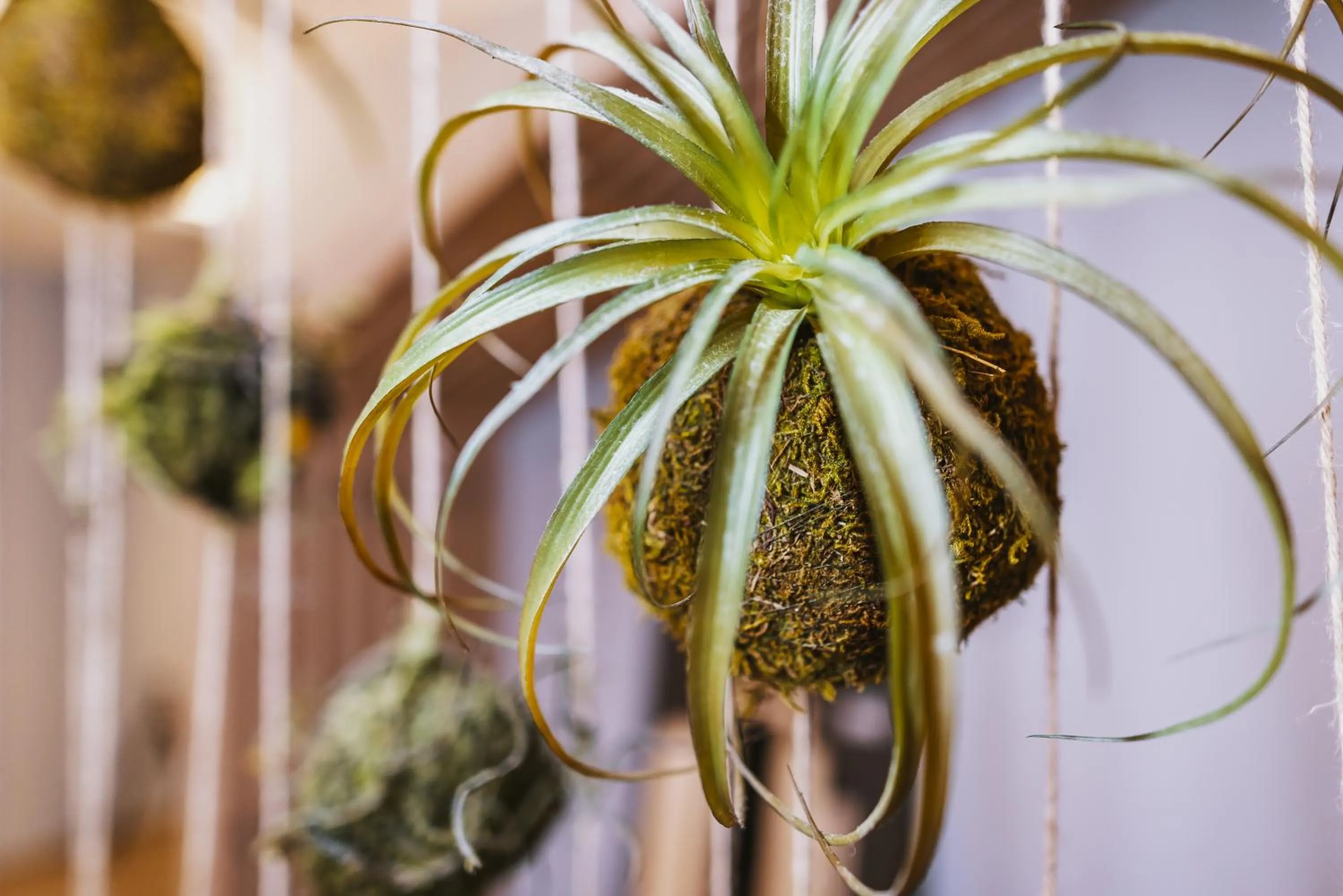 Decorative detail in Elements Resort Zell am See BW Signature Collection