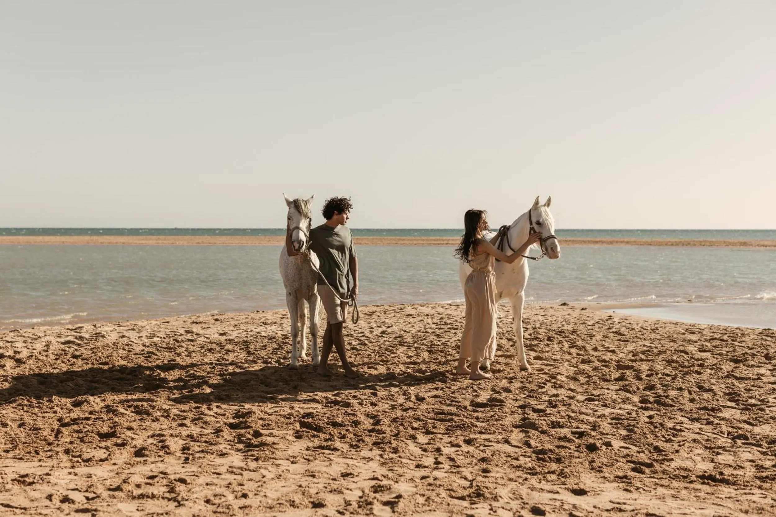 Horse-riding in Casa Cook El Gouna - Adults Only