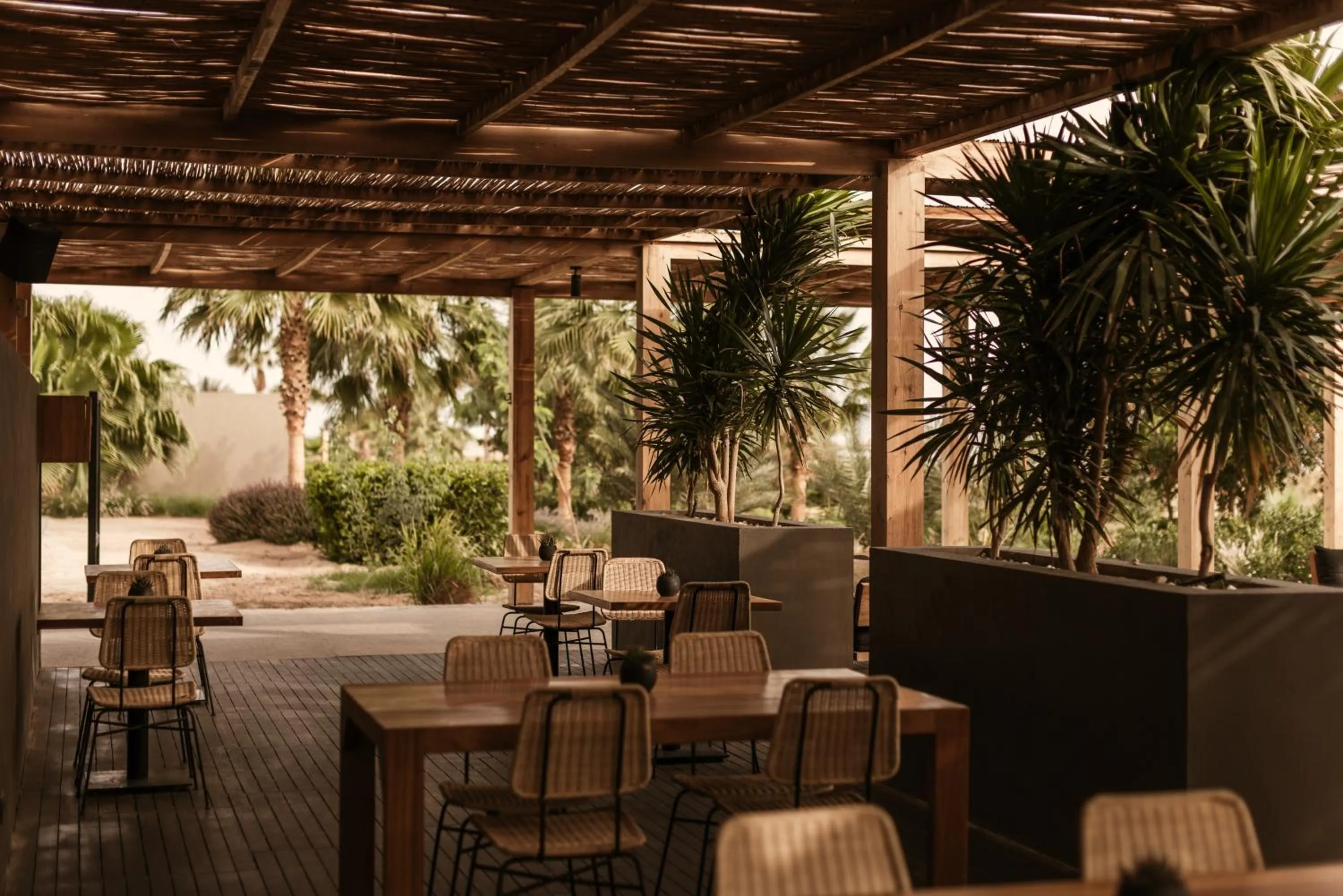 Lounge or bar in Casa Cook El Gouna - Adults Only