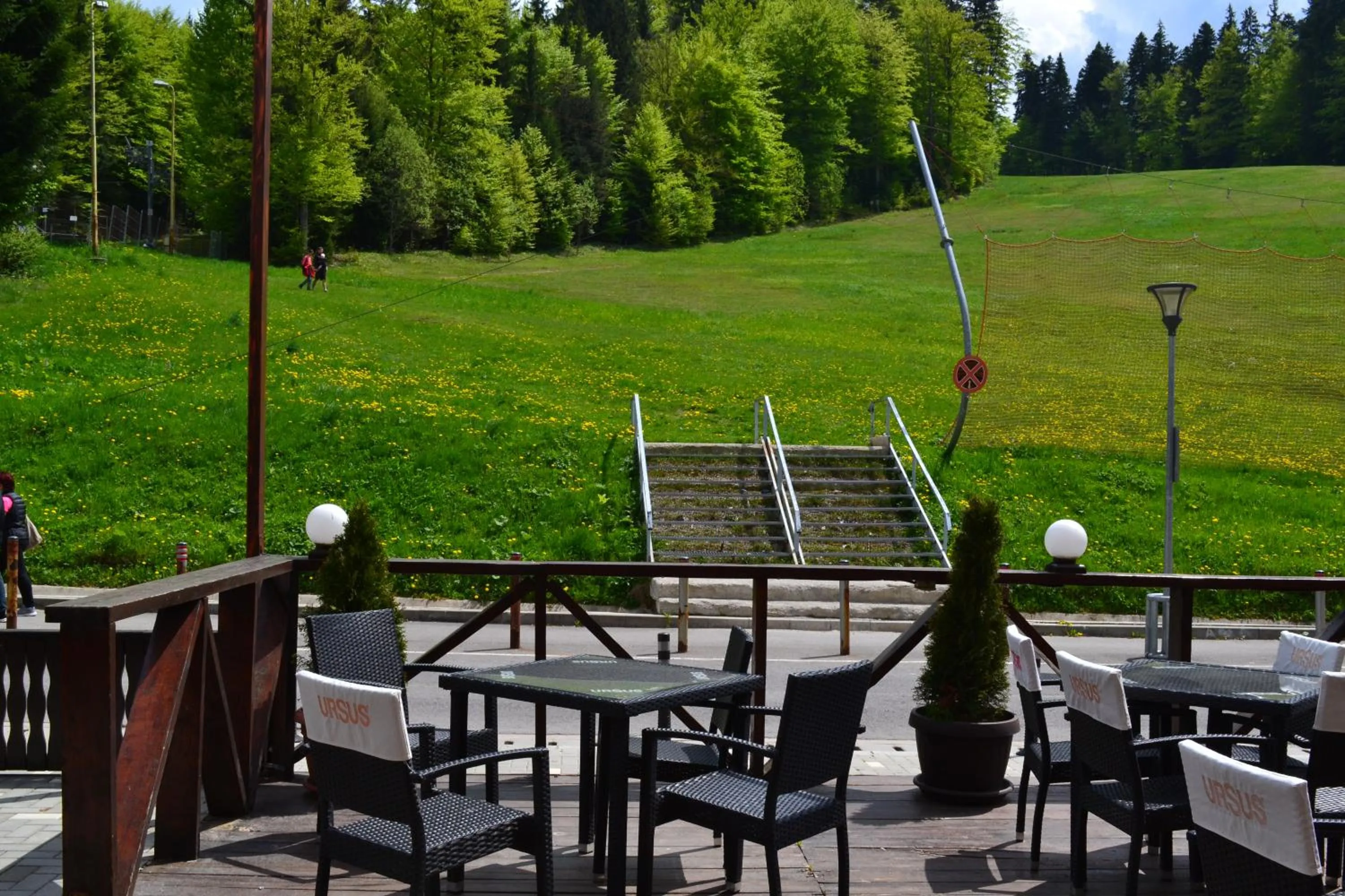 Restaurant/places to eat in Cabana Fulg De Nea Predeal