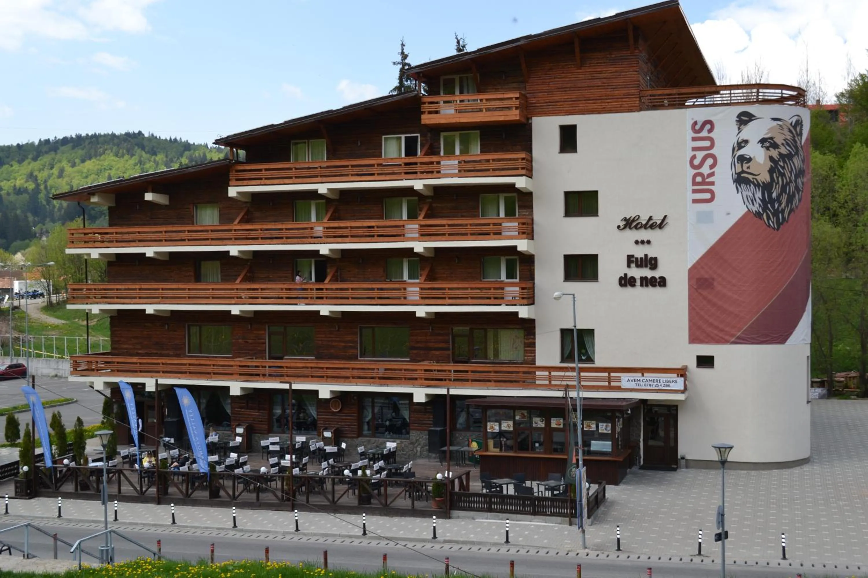 Property building in Cabana Fulg De Nea Predeal