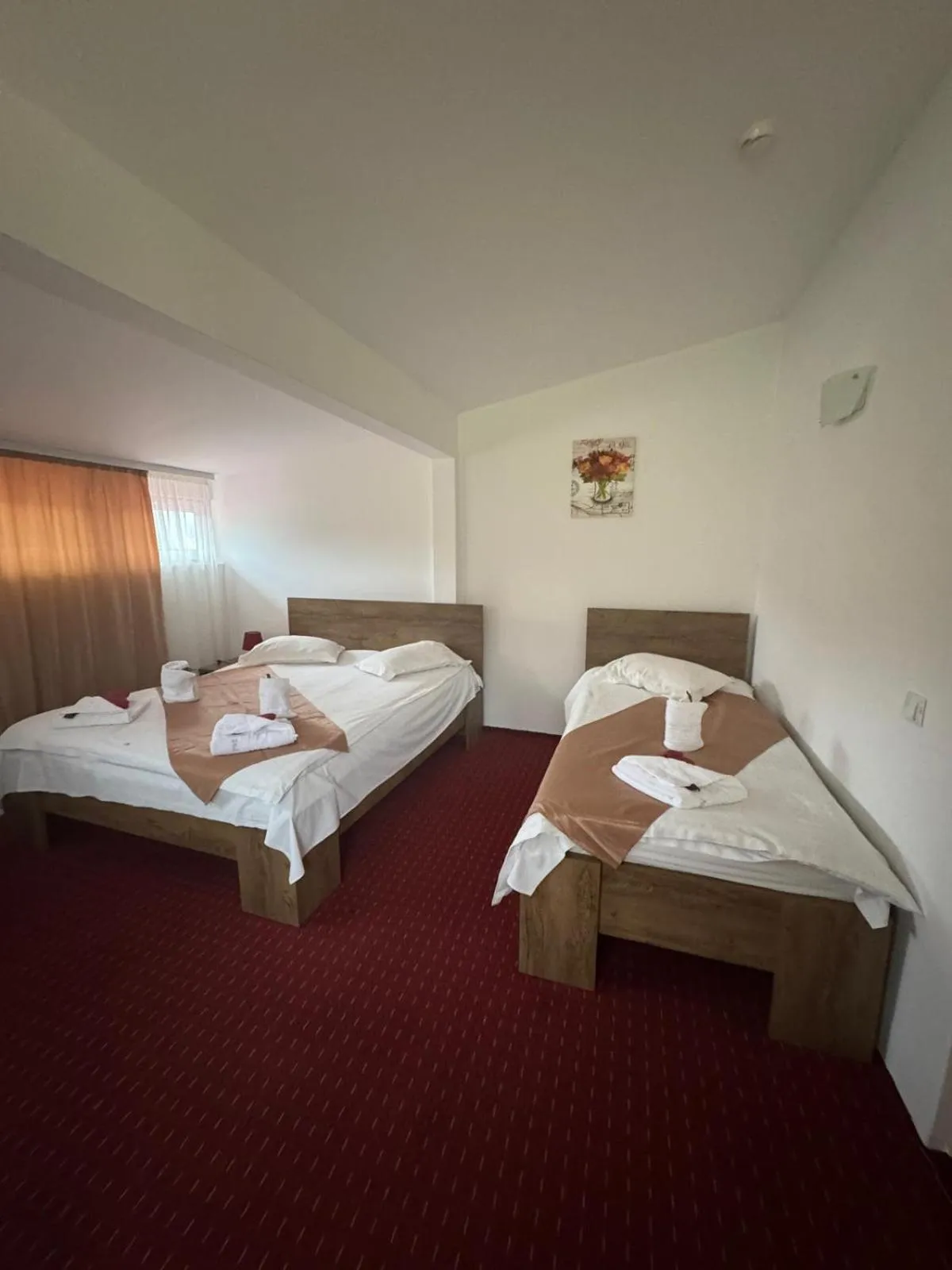 Bed in Cabana Fulg De Nea Predeal