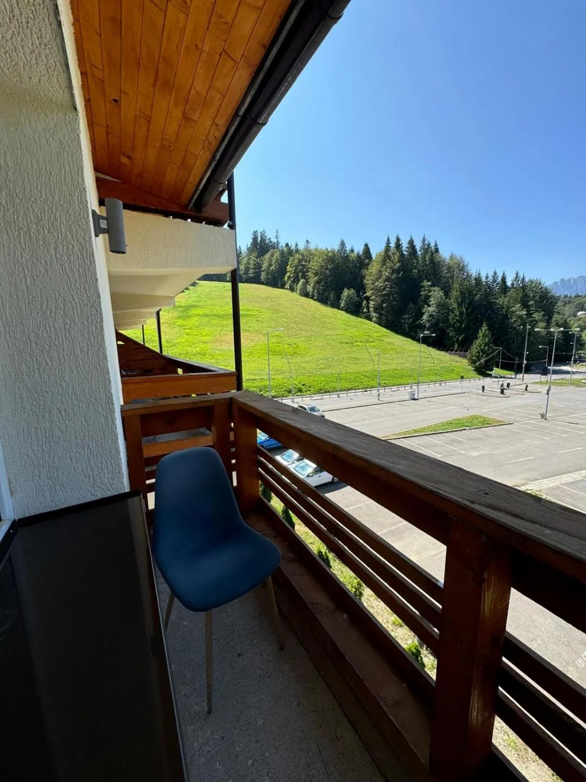 Cabana Fulg De Nea Predeal