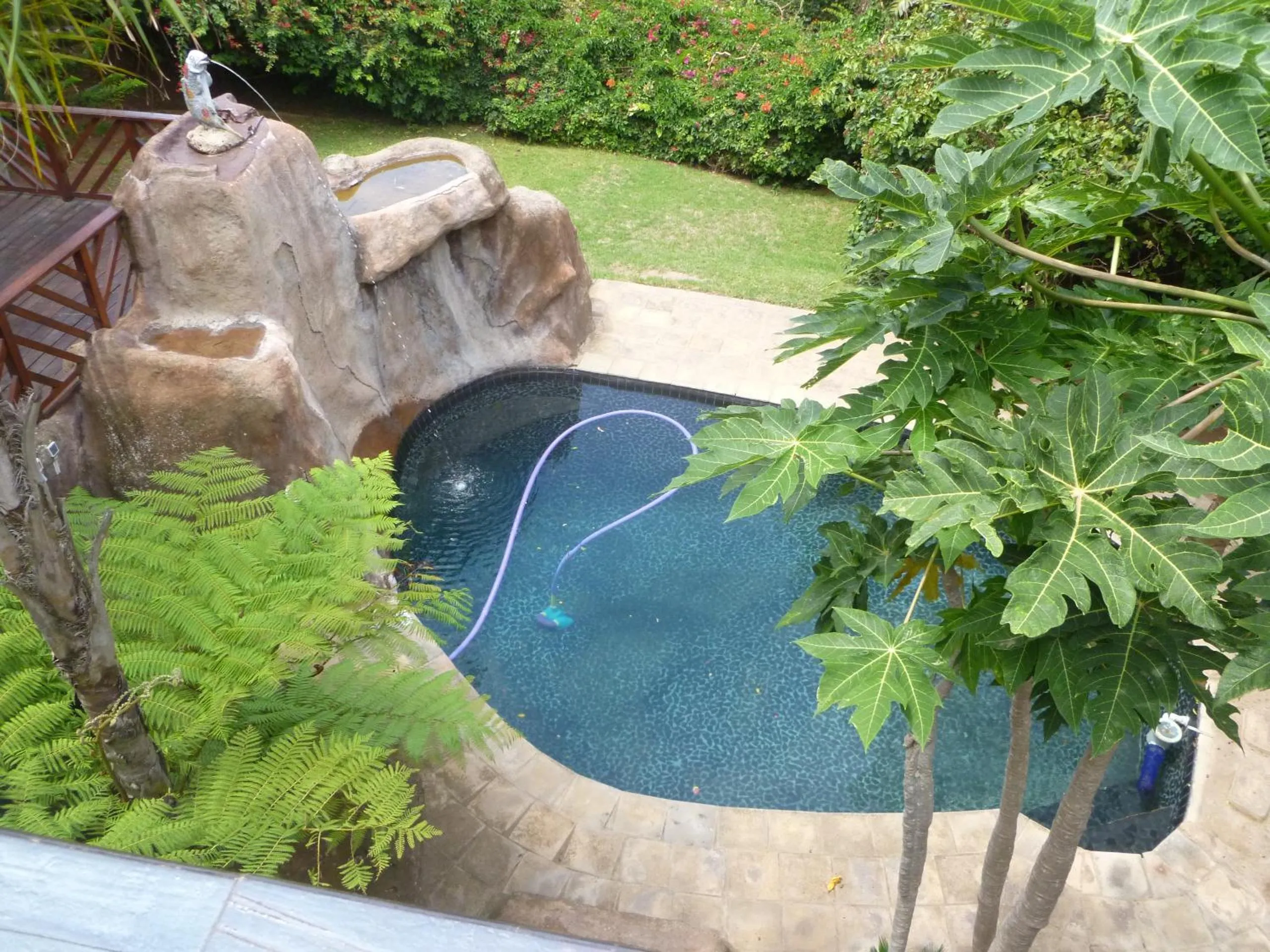 Pool view in Bon A Vie Self-catering and b&b Gonubie Full Solar Power, no load shedding!