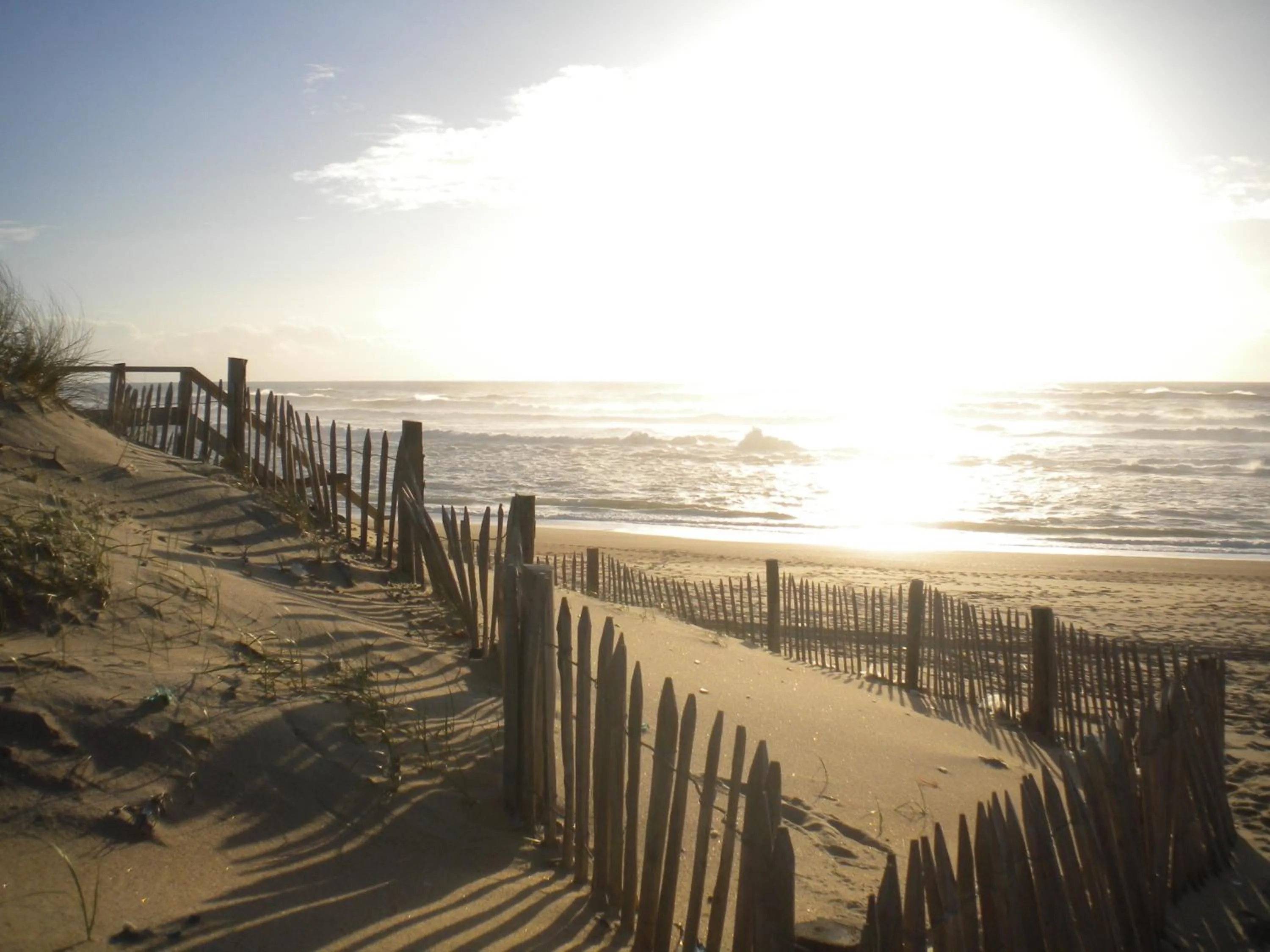 Beach in Hôtel Océan