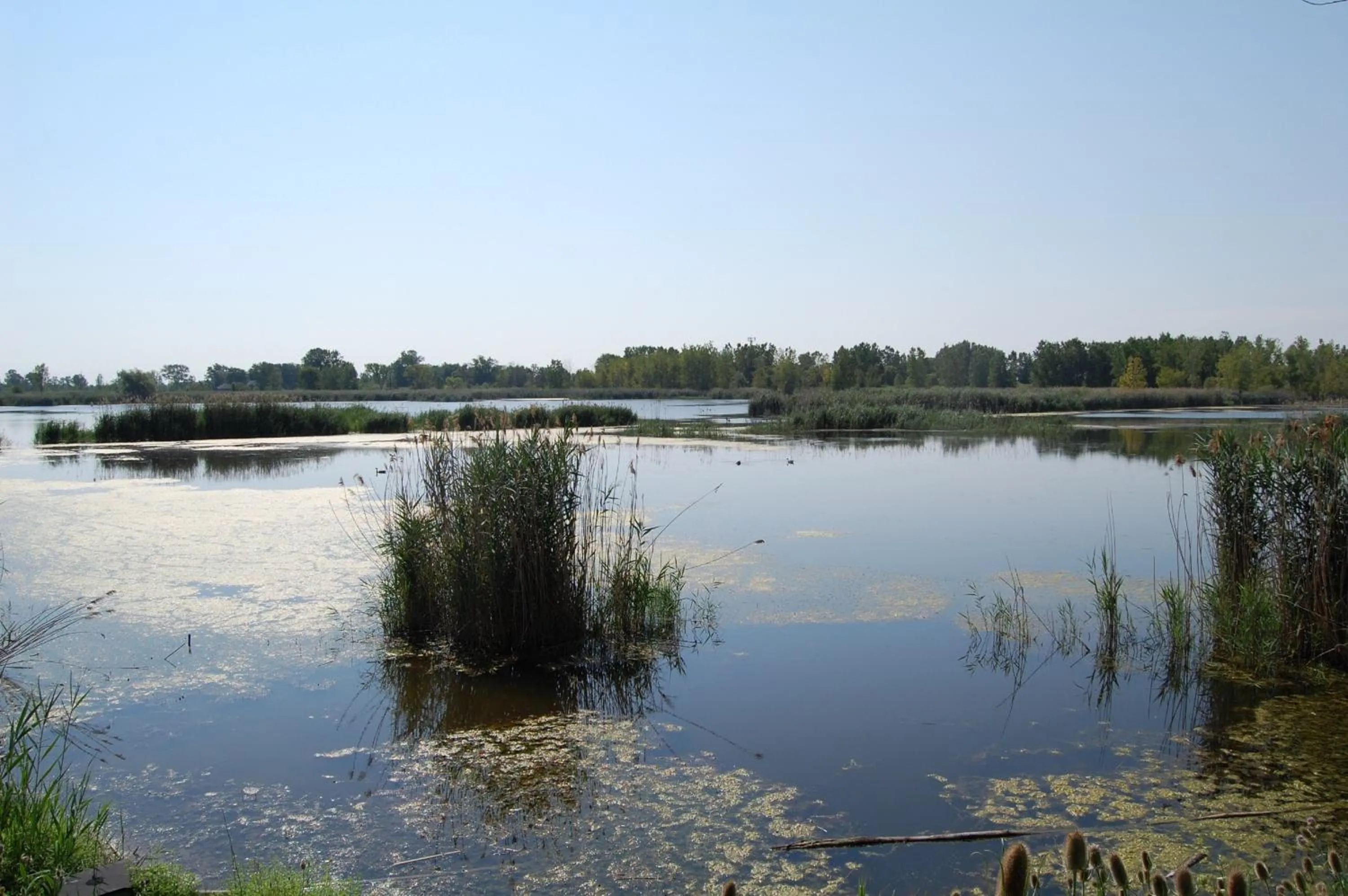 Area and facilities in Holiday Inn Express - Sarnia - Point Edward by IHG