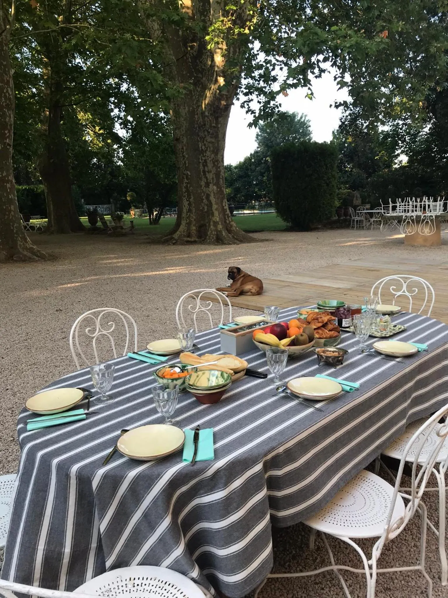 Garden in Château de Saint-Girons - Luxury Guest House in Provence