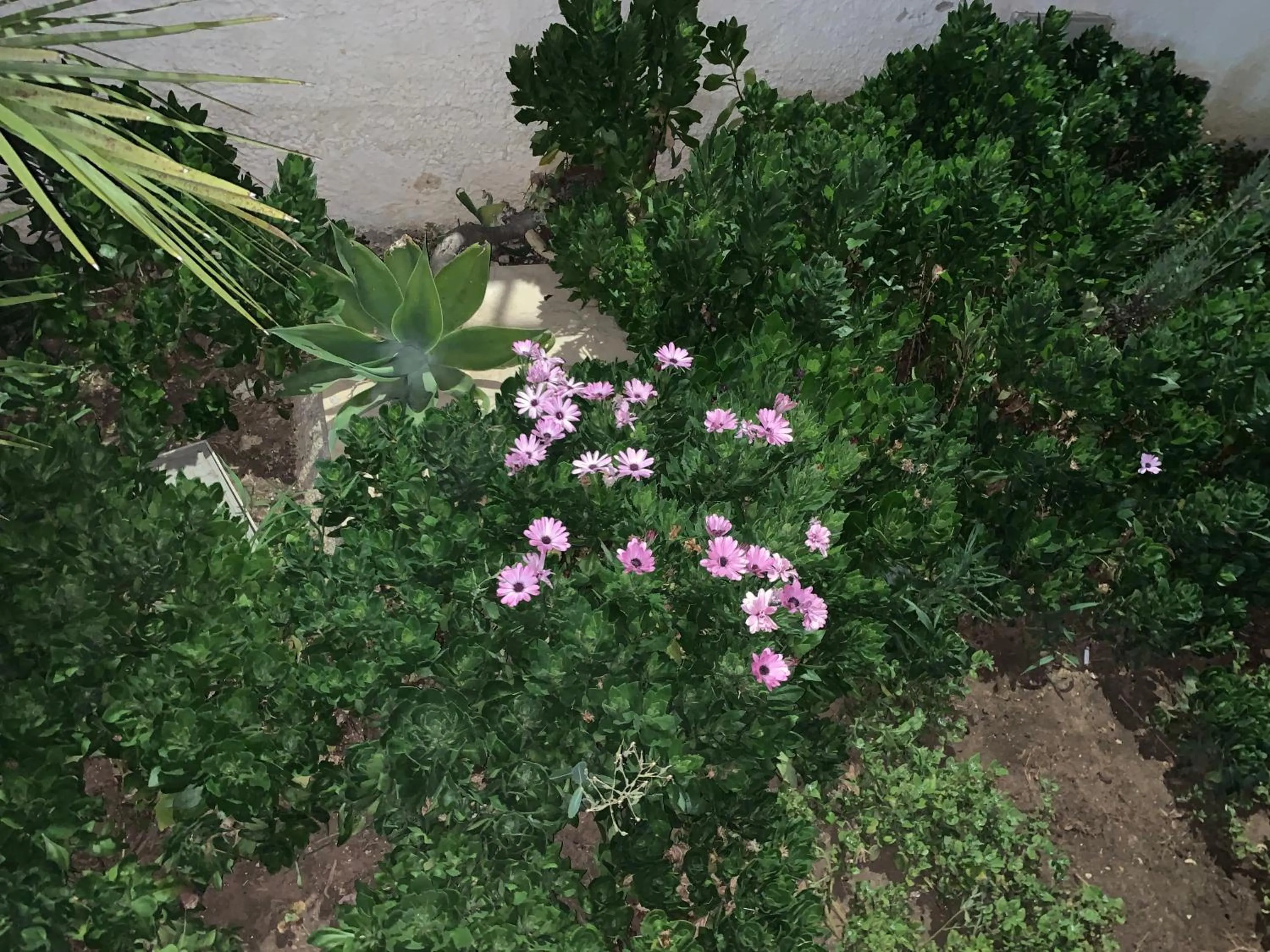 Valentina Lovely Rooms