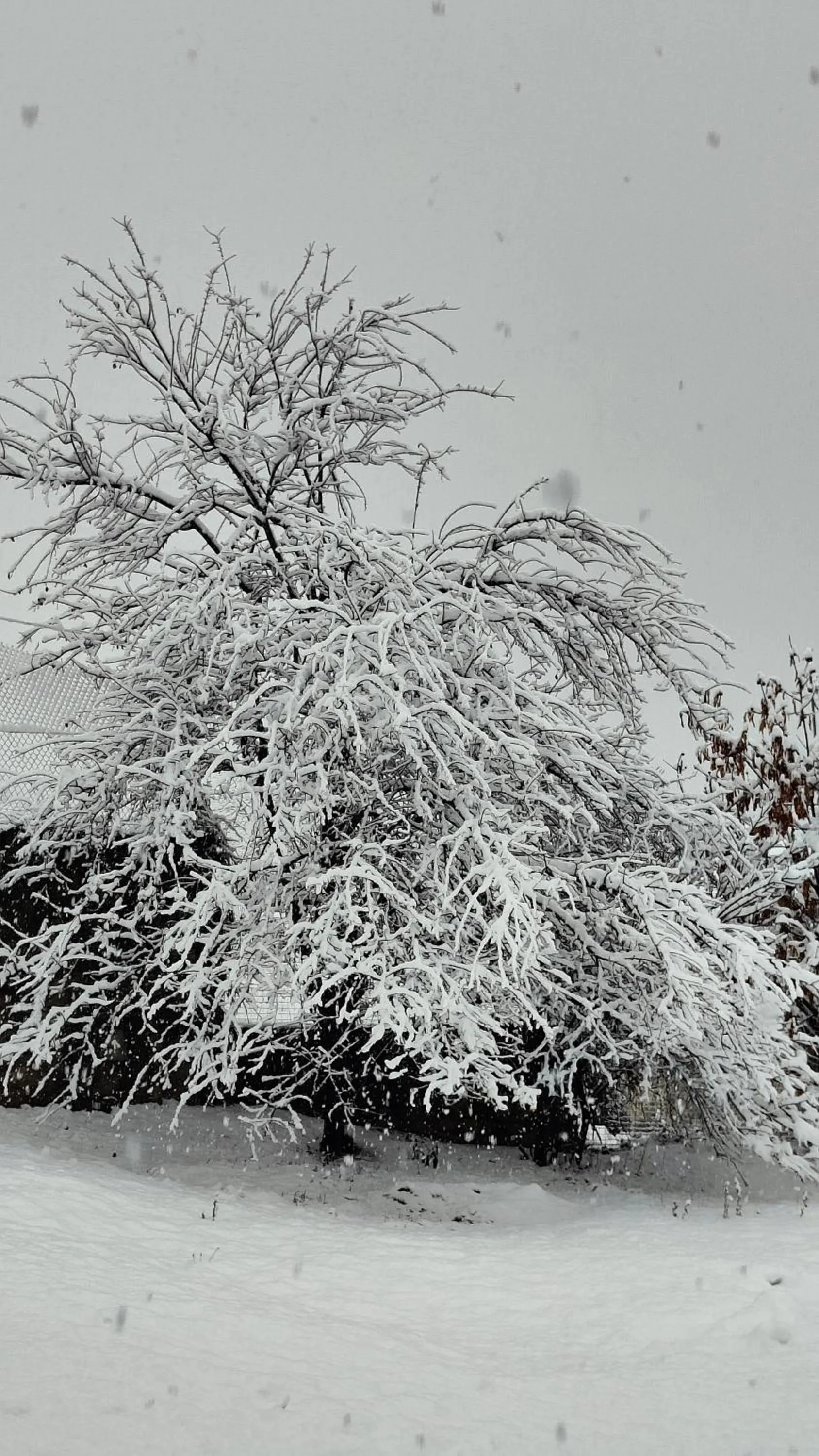 Winter in Panorama Prespes