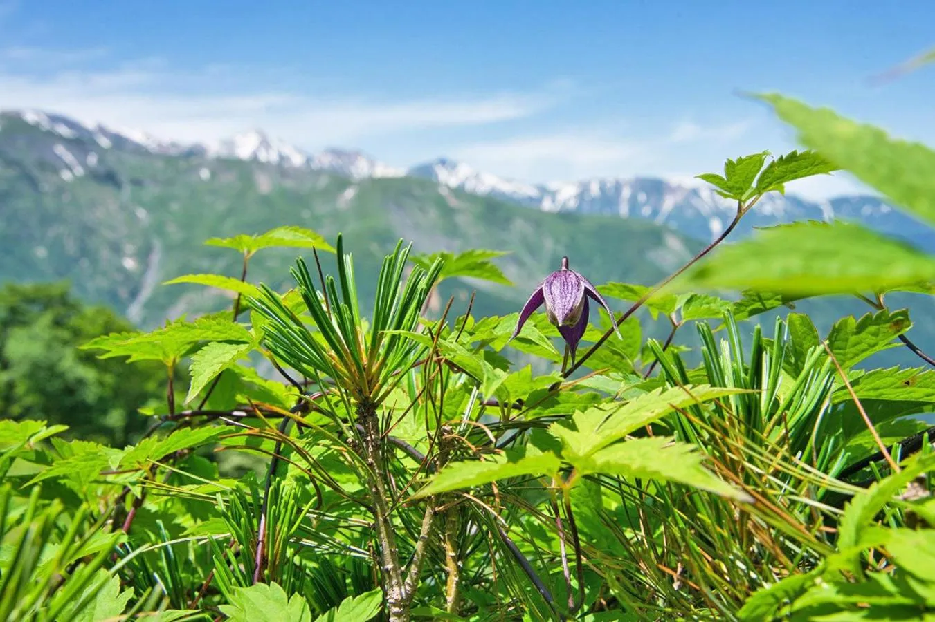 Nearby landmark in Pension Risuno Koya